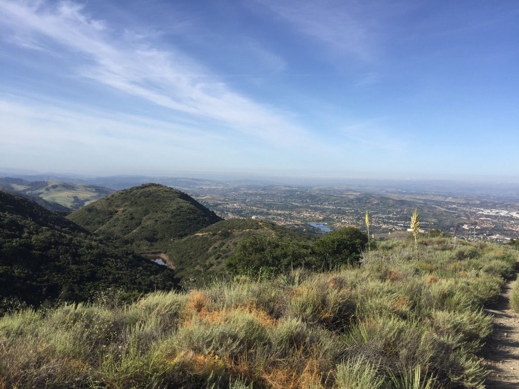 Sunny view of green hills overlooking a distant city under blue sky. - Los Pinos Peak via Bell Ridge Trail