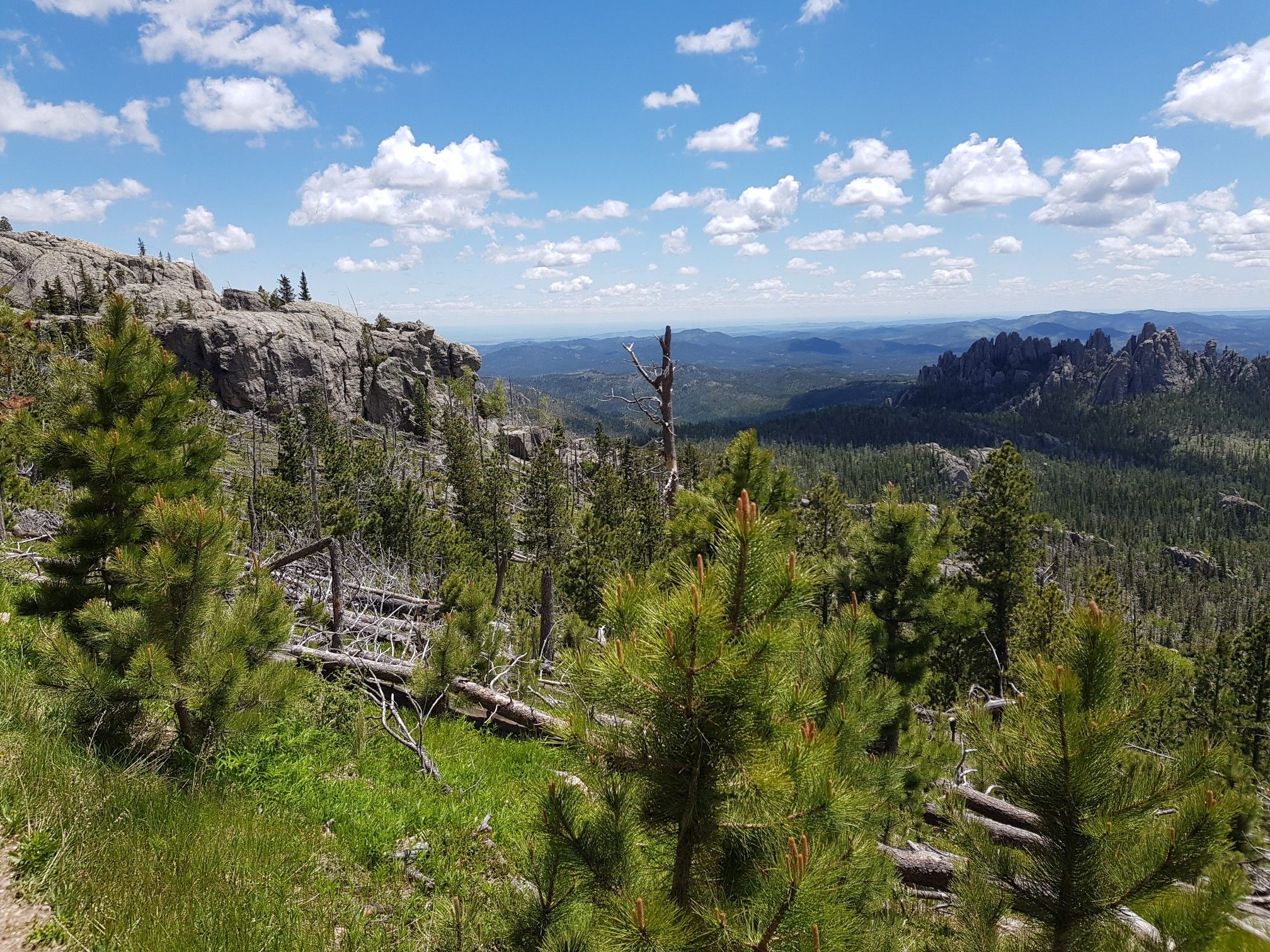 Sunny mountain landscape with pine trees, rocky peaks, and a distant valley. - Black Elk Peak via Cathedral Spires Trail