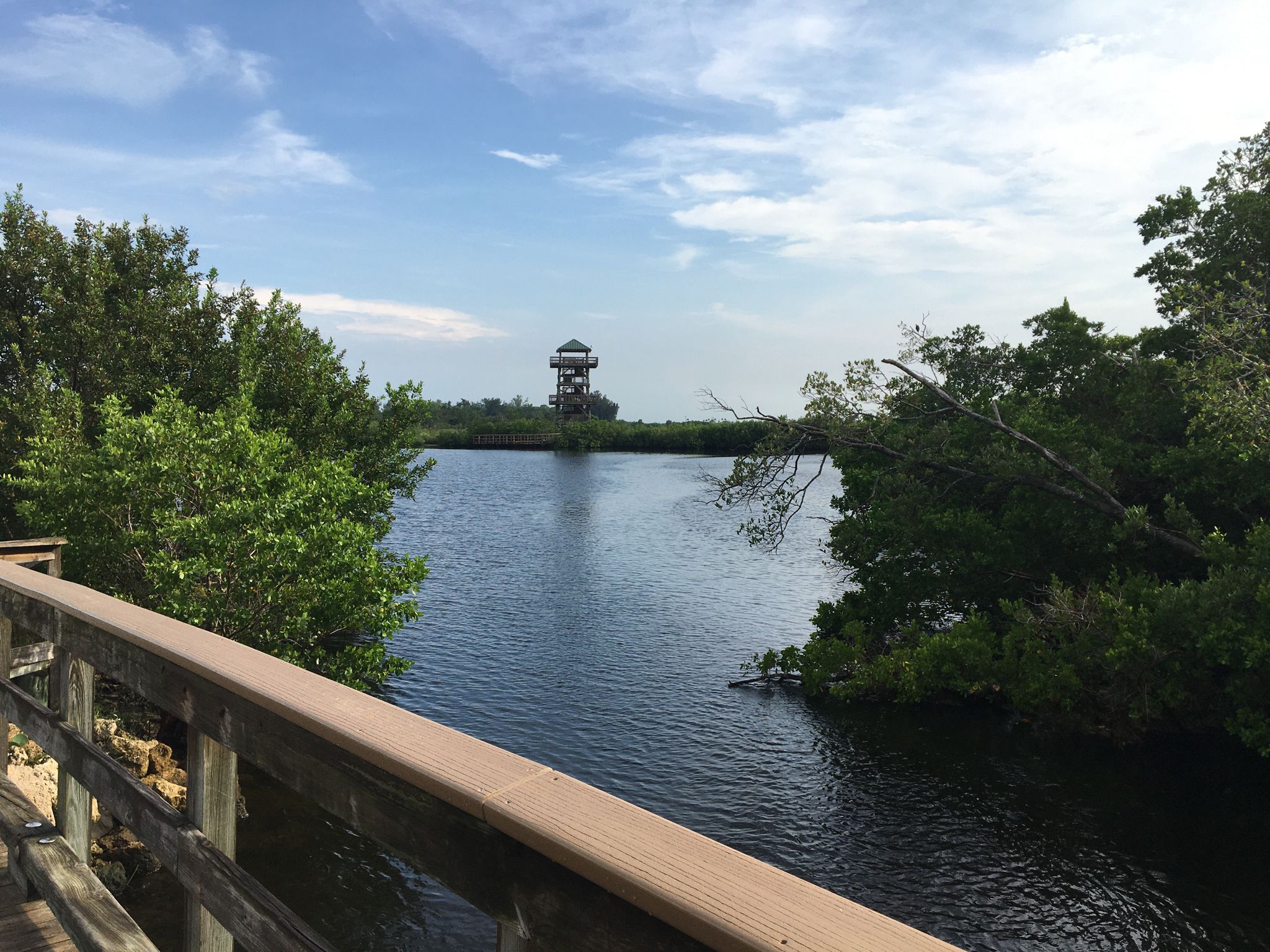 A tall observation tower stands across a calm river, seen from a wooden boardwalk. - Nice view loop from Robinson Preserve