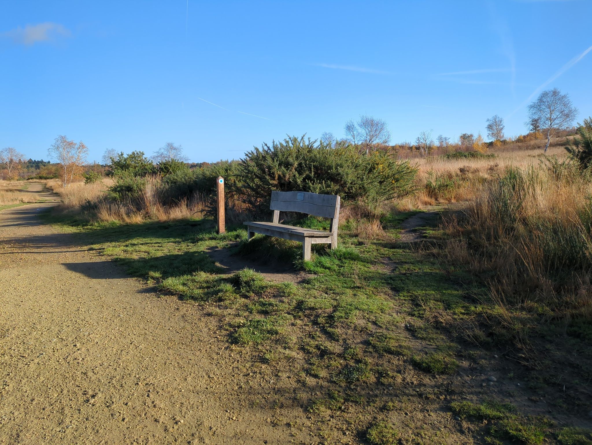bench rest point