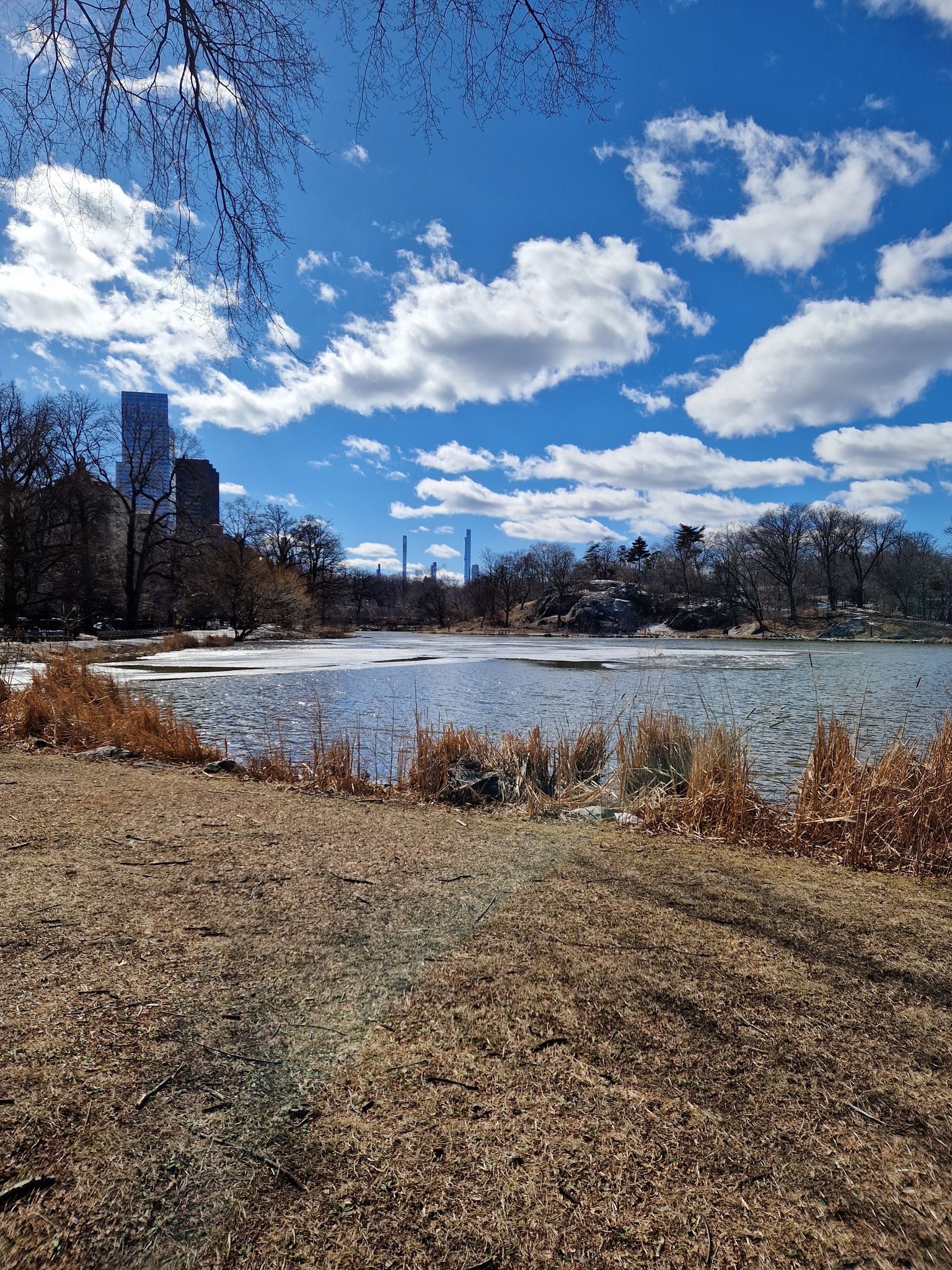 Lake with dry grass, bare trees, and distant buildings under a cloudy sky. - Brooklyn Bridge – Bow Bridge, Central Park loop from South Ferry