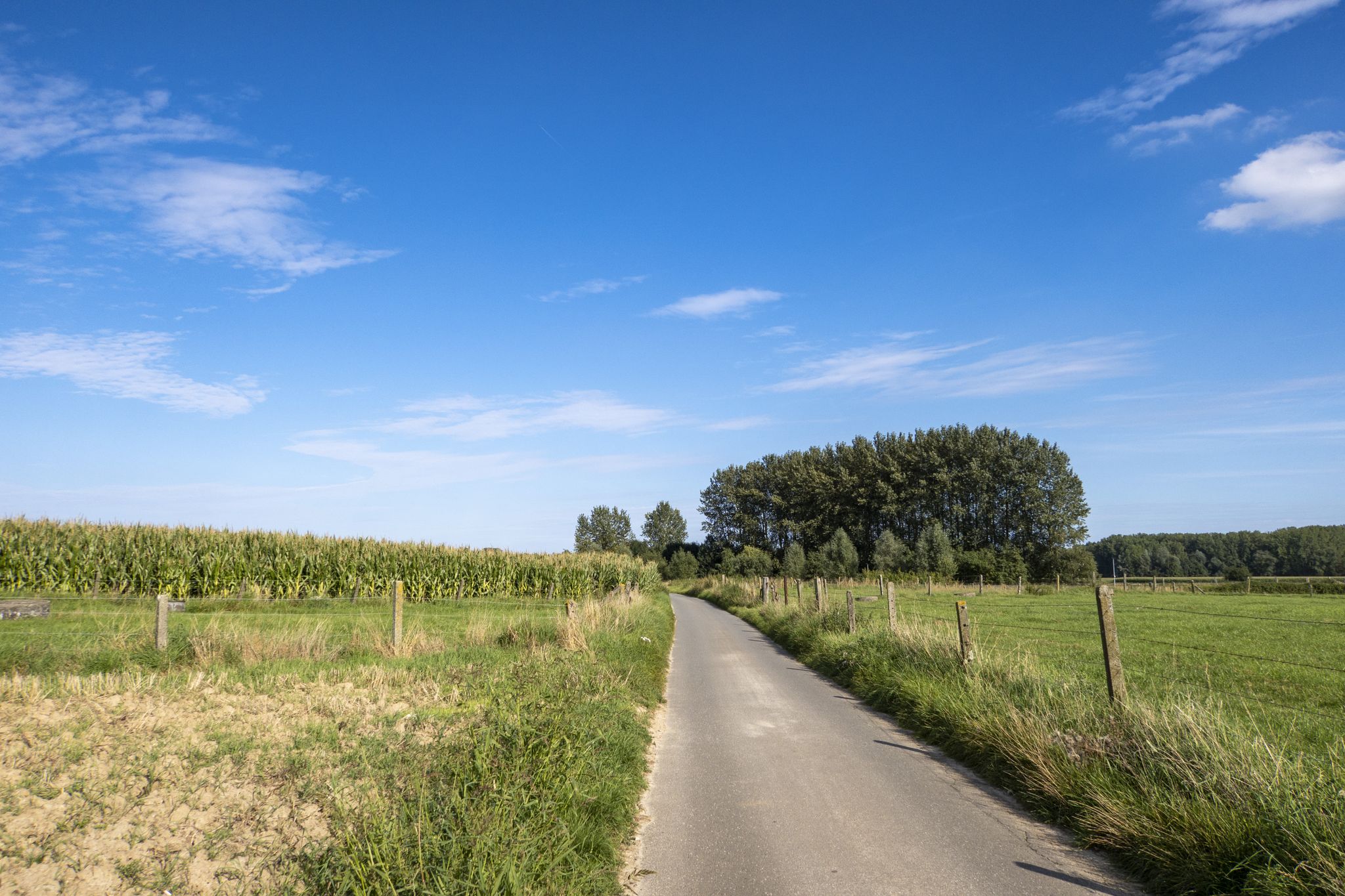 Tussen de velden naar Bambrugge