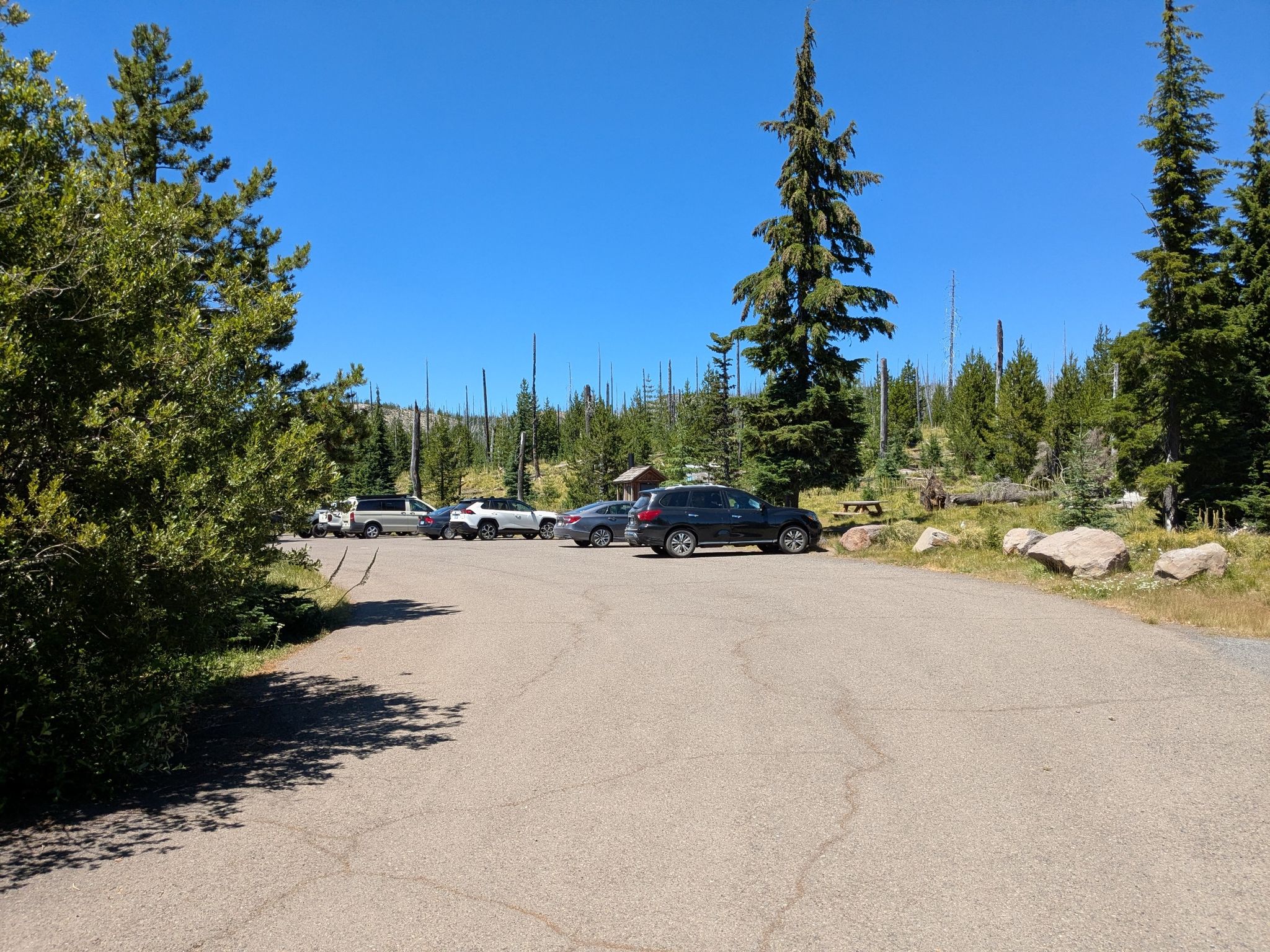 A sunny parking lot with several cars surrounded by tall evergreen trees. - Three Fingered Jack via Pacific Crest Trail