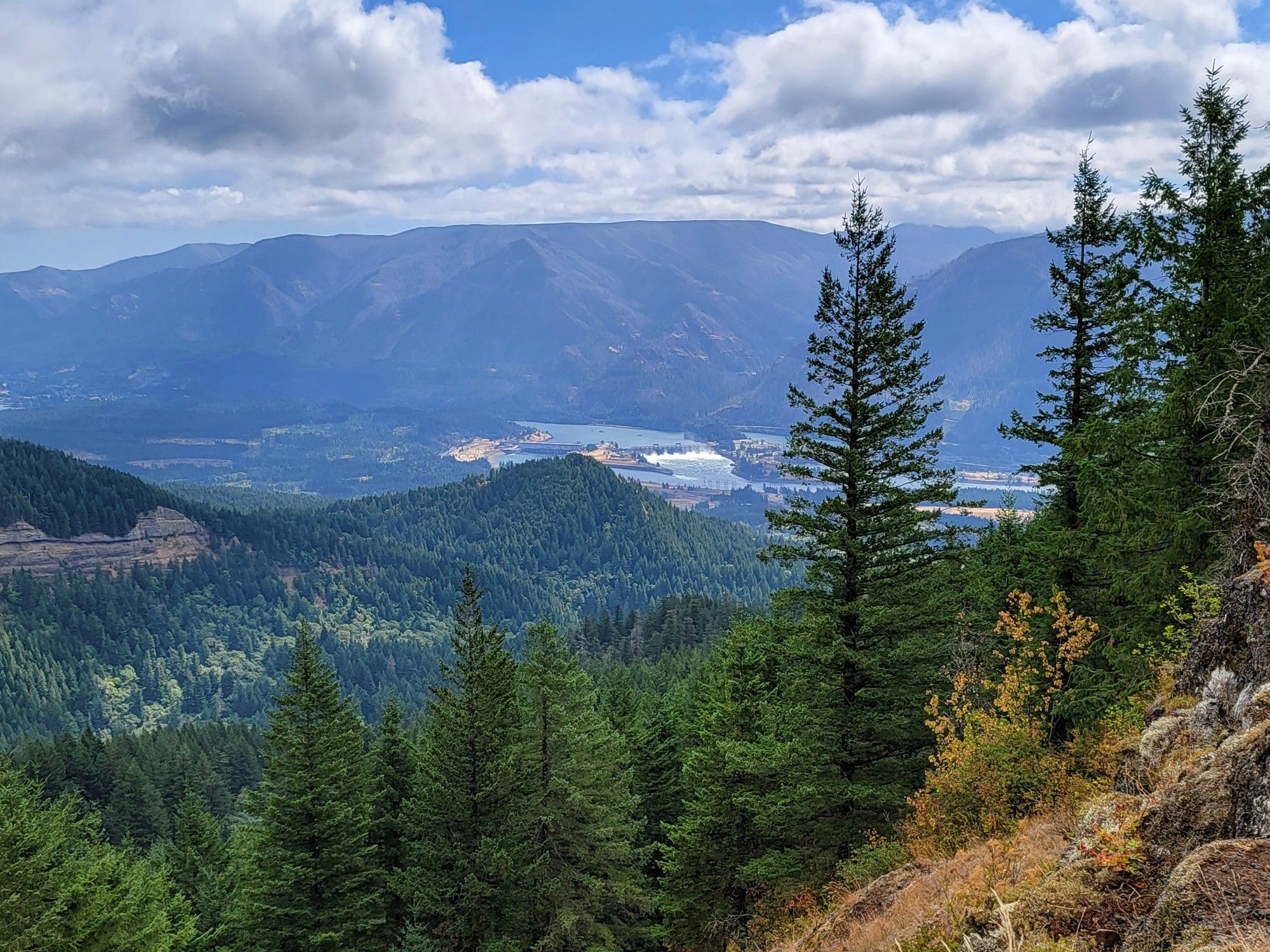 Panoramic view of a river valley, forests, and distant mountains. - Hamilton Mountain and Hardy Ridge Loop