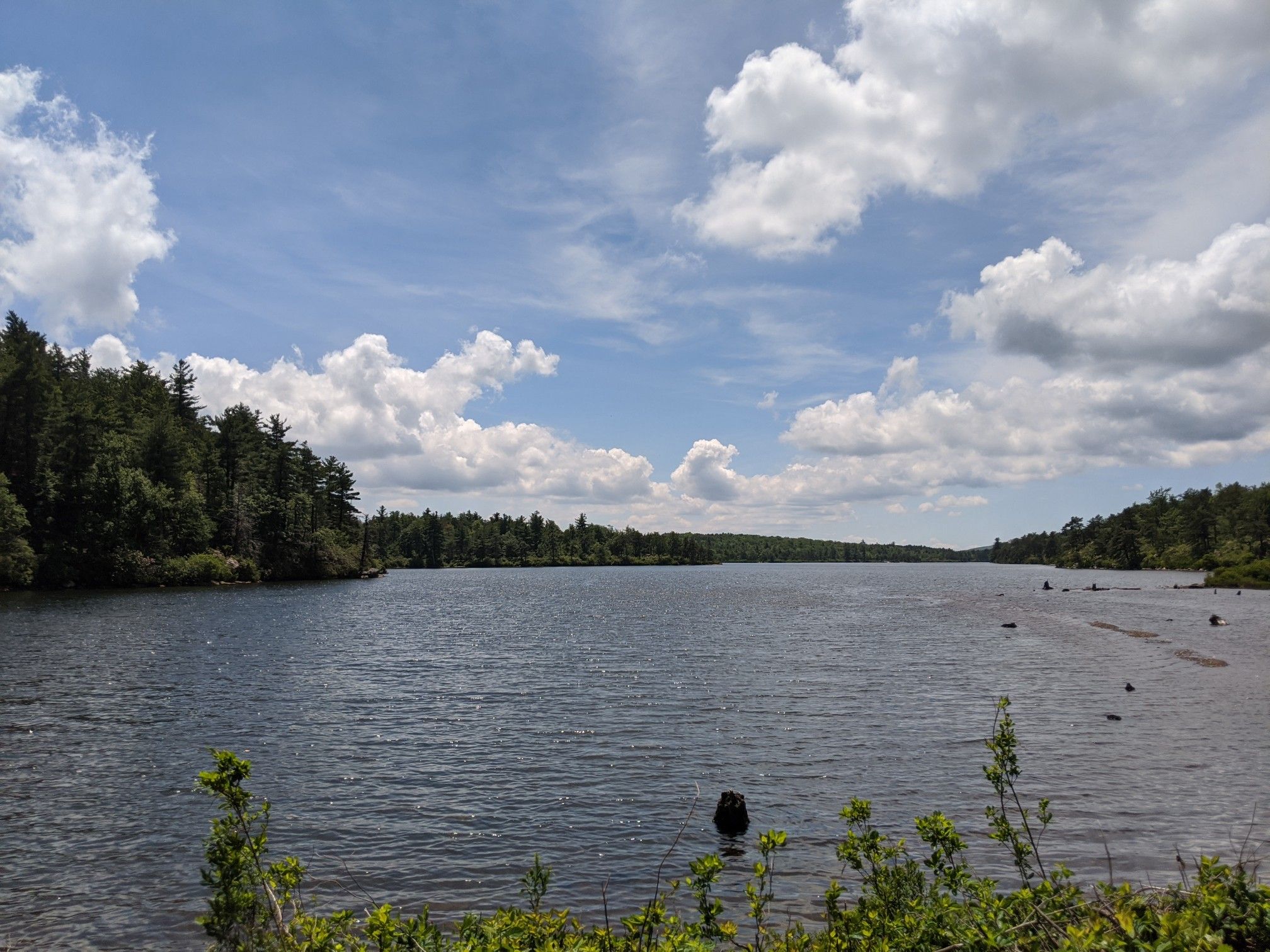 Wide lake with forested shores under a bright, cloudy sky. - Castle Point Carriageway, Lake Awosting Carriageway and Upper Awosting Carriageway Loop