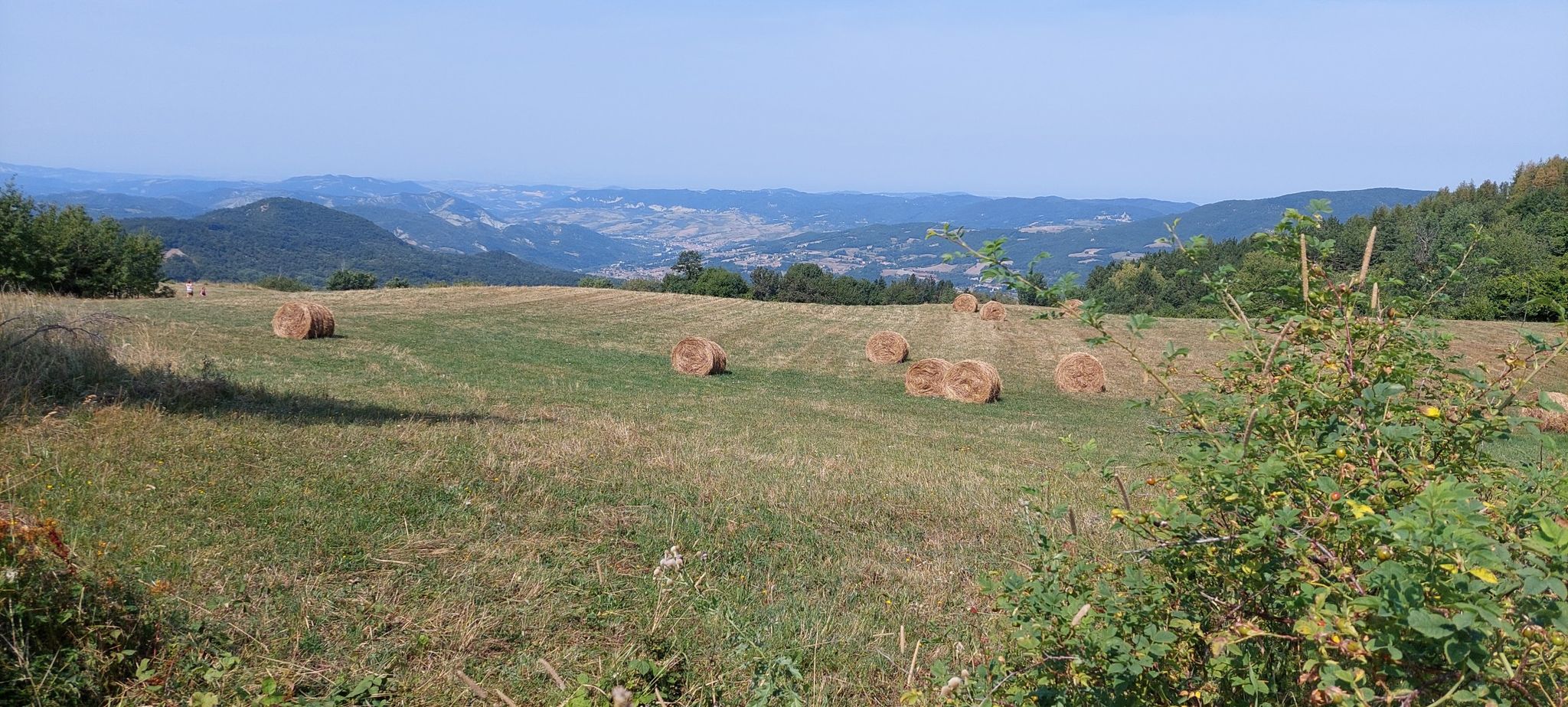 salita alla cima Penice