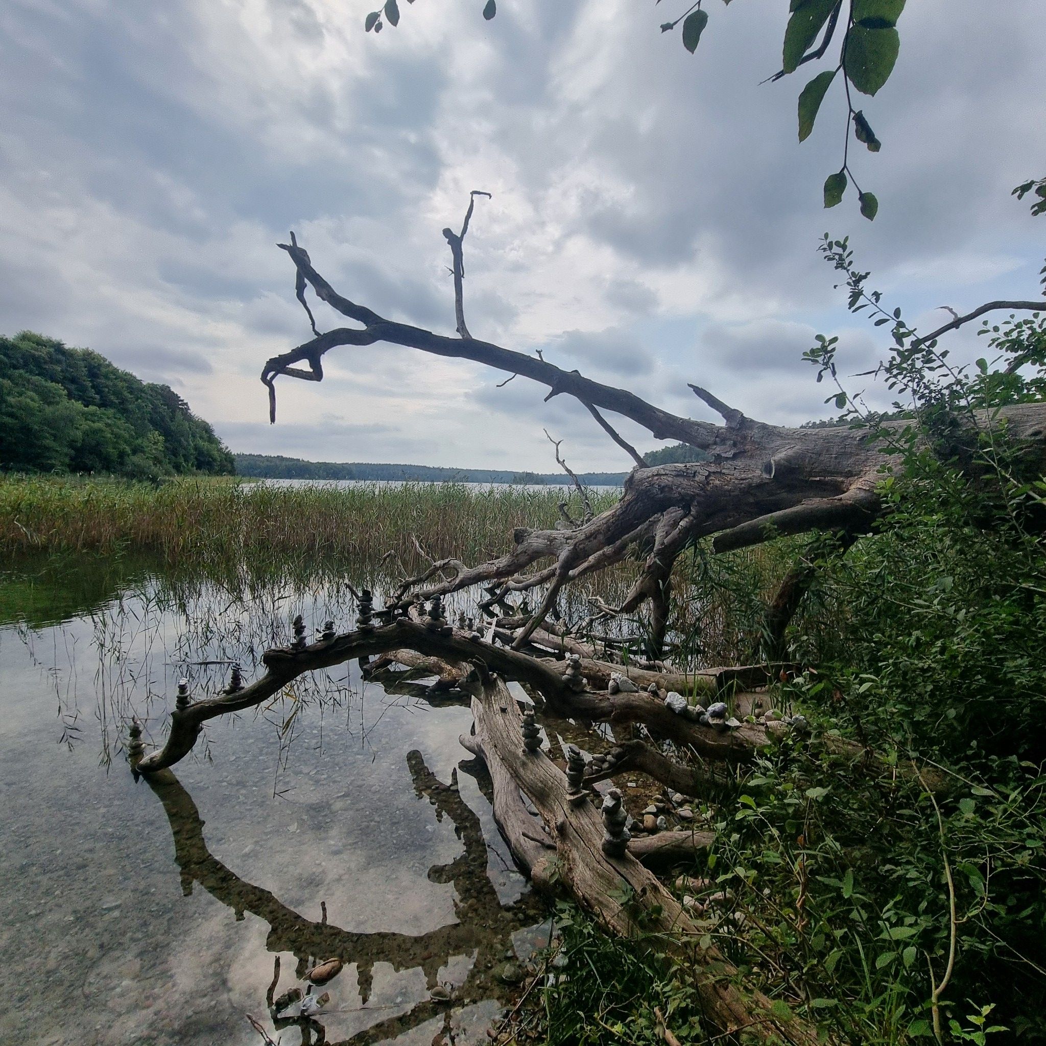 Badestelle Wummsee