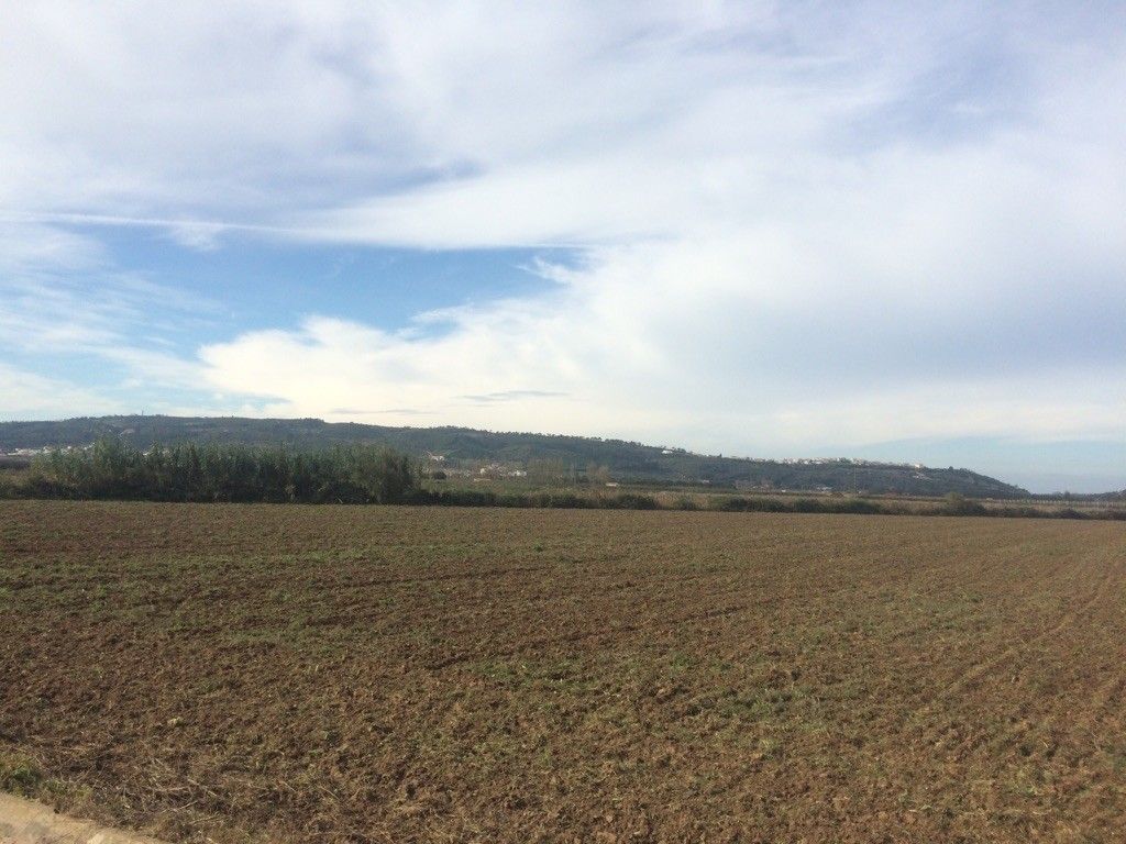 Smooth country roads nice smile tailwind beautiful countryside all-around pastureland Haley girls quit lovely