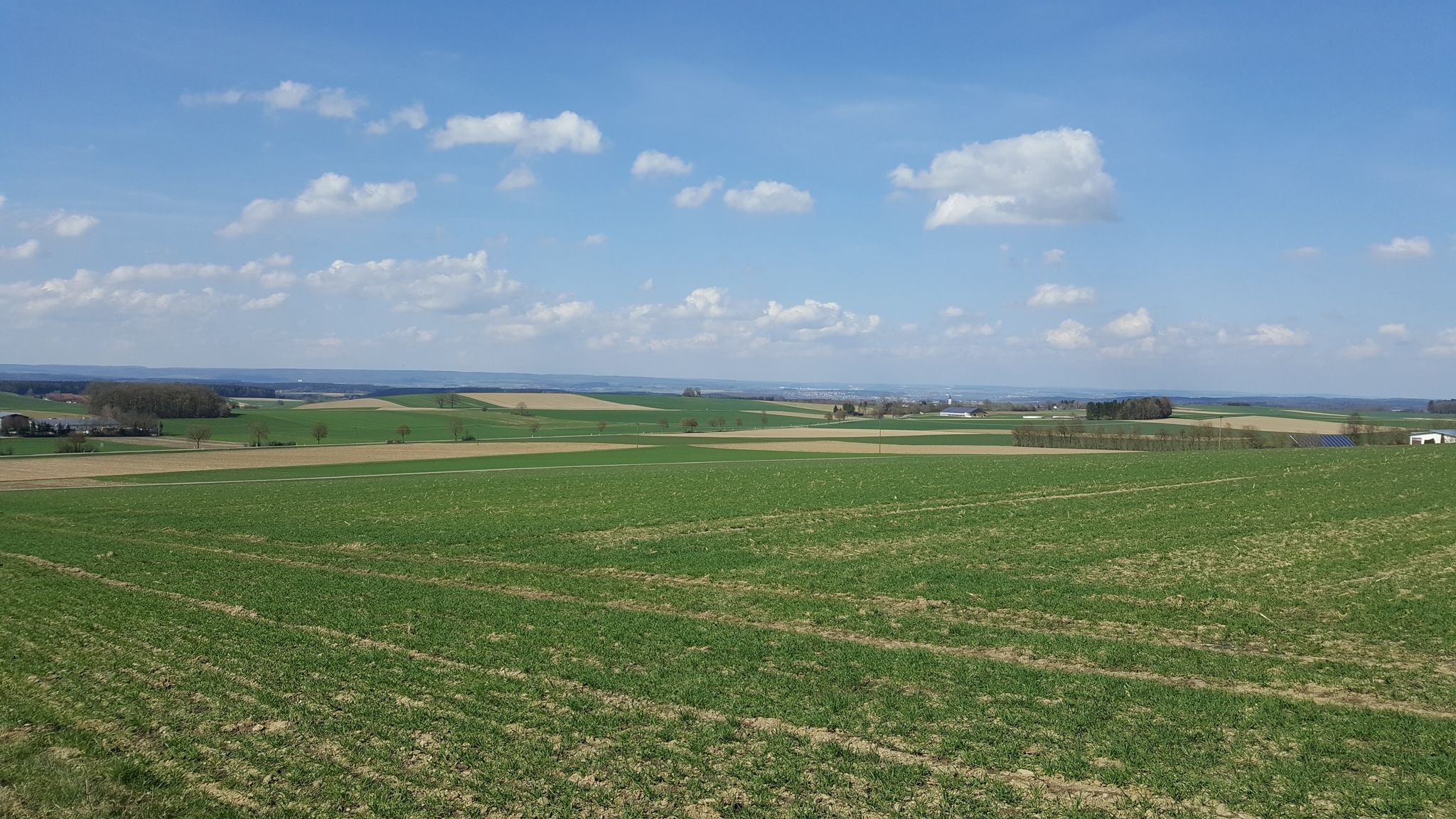 Ehingen