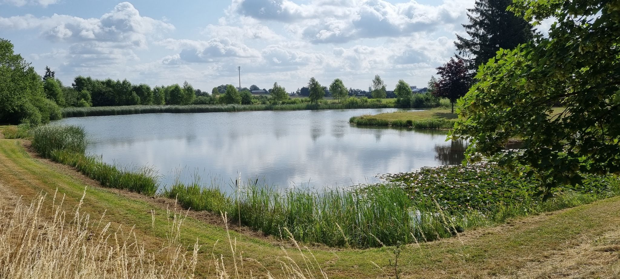 Binsfelder Weiher