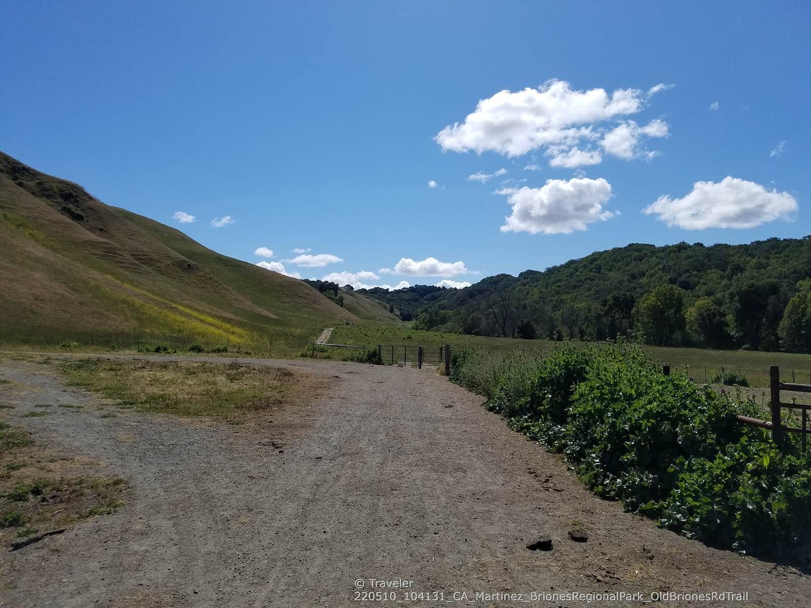 A dirt path leads into a green valley with hills under a cloudy sky. - Old Briones Road, Valley, and Crescent Ridge Trail Loop