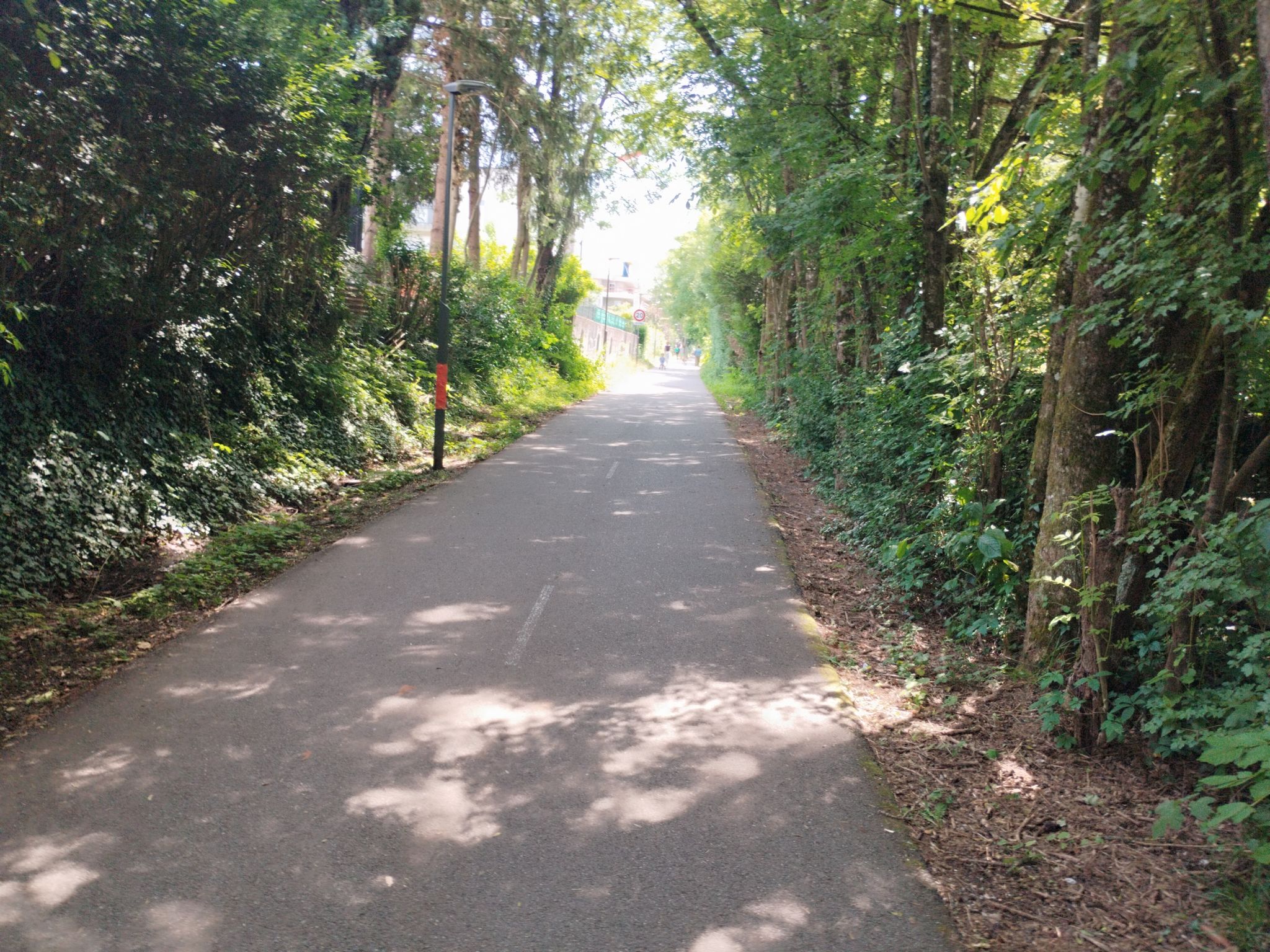 Radweg im Grünen 