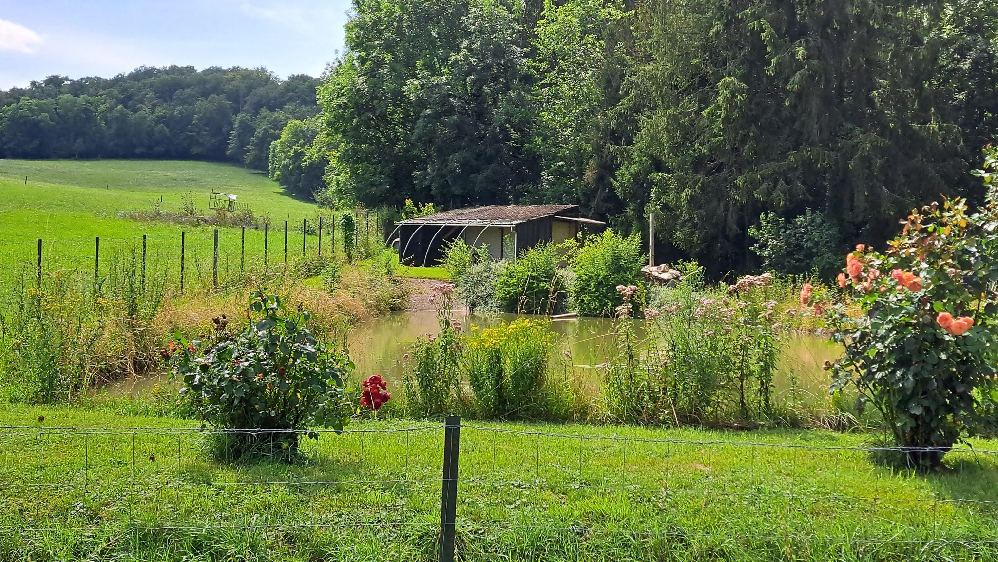 Une cabane et un petit étang bien entretenus.