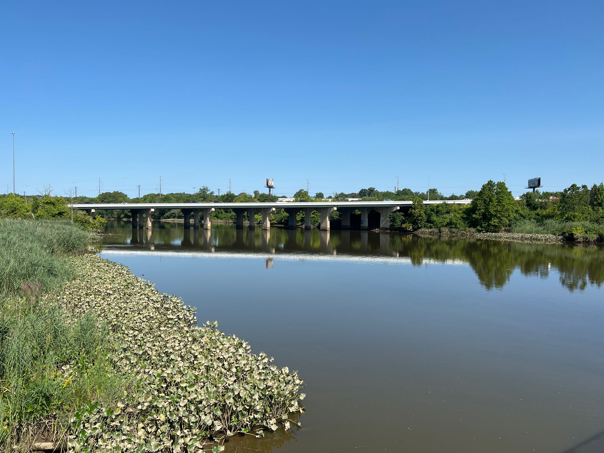A wide river with a concrete bridge overhead, lush green banks, sunny day. - Jack A. Markell Trail