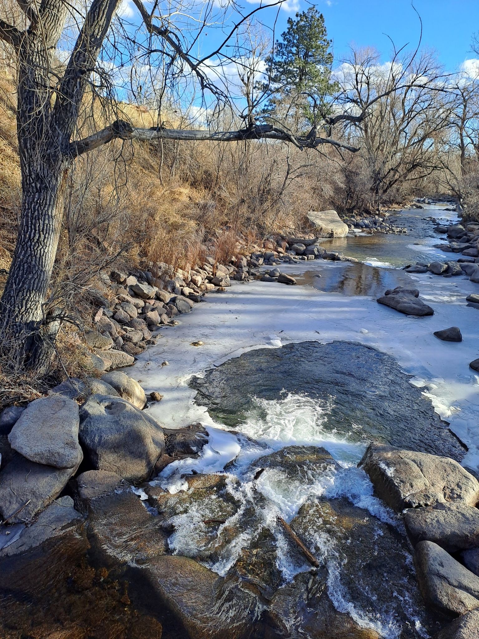 Icy river flows between rocky banks and bare trees under bright sky. - Boulder Rapha and Los Lagos Reservoirs loop