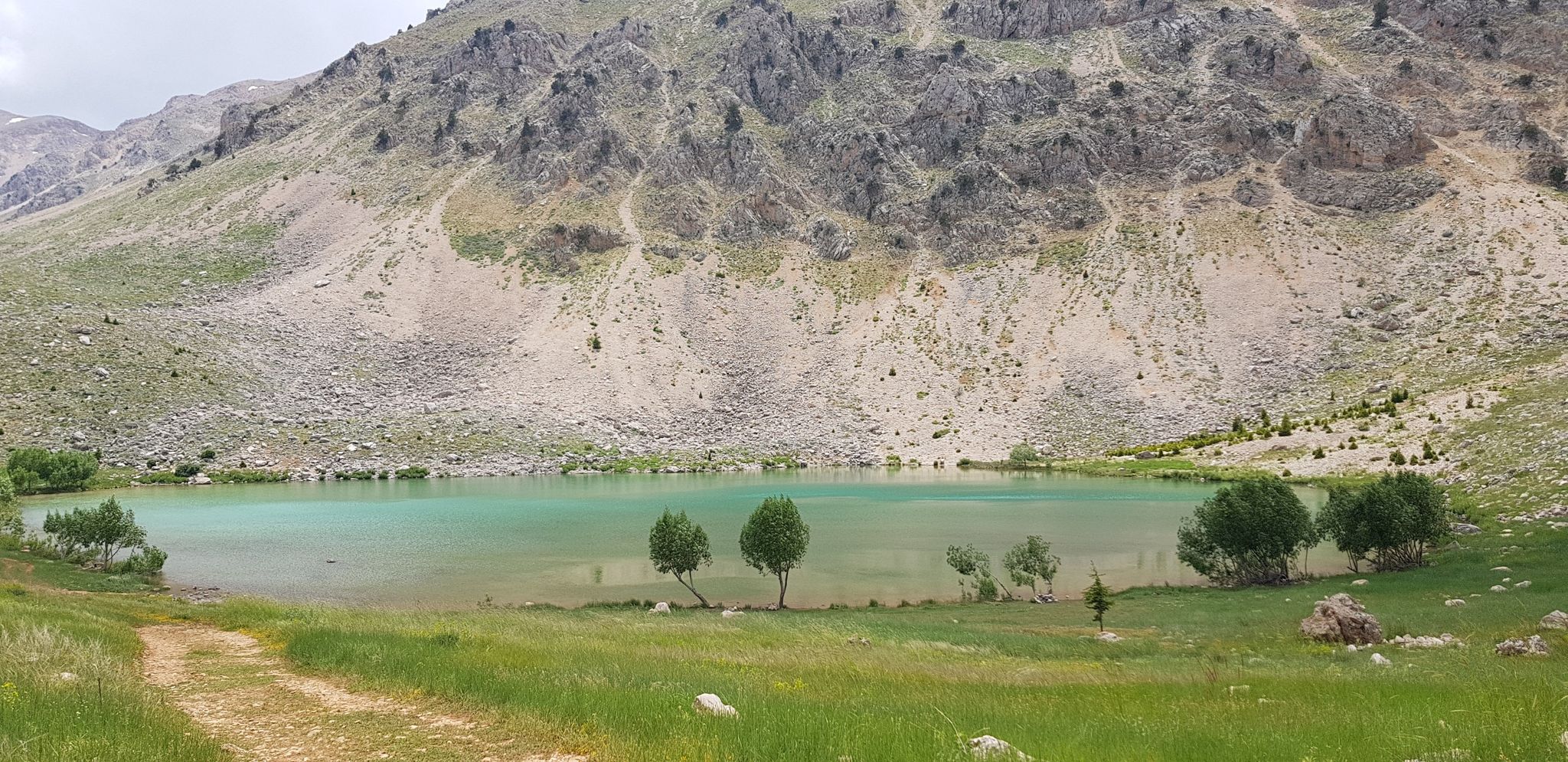 grüner See
