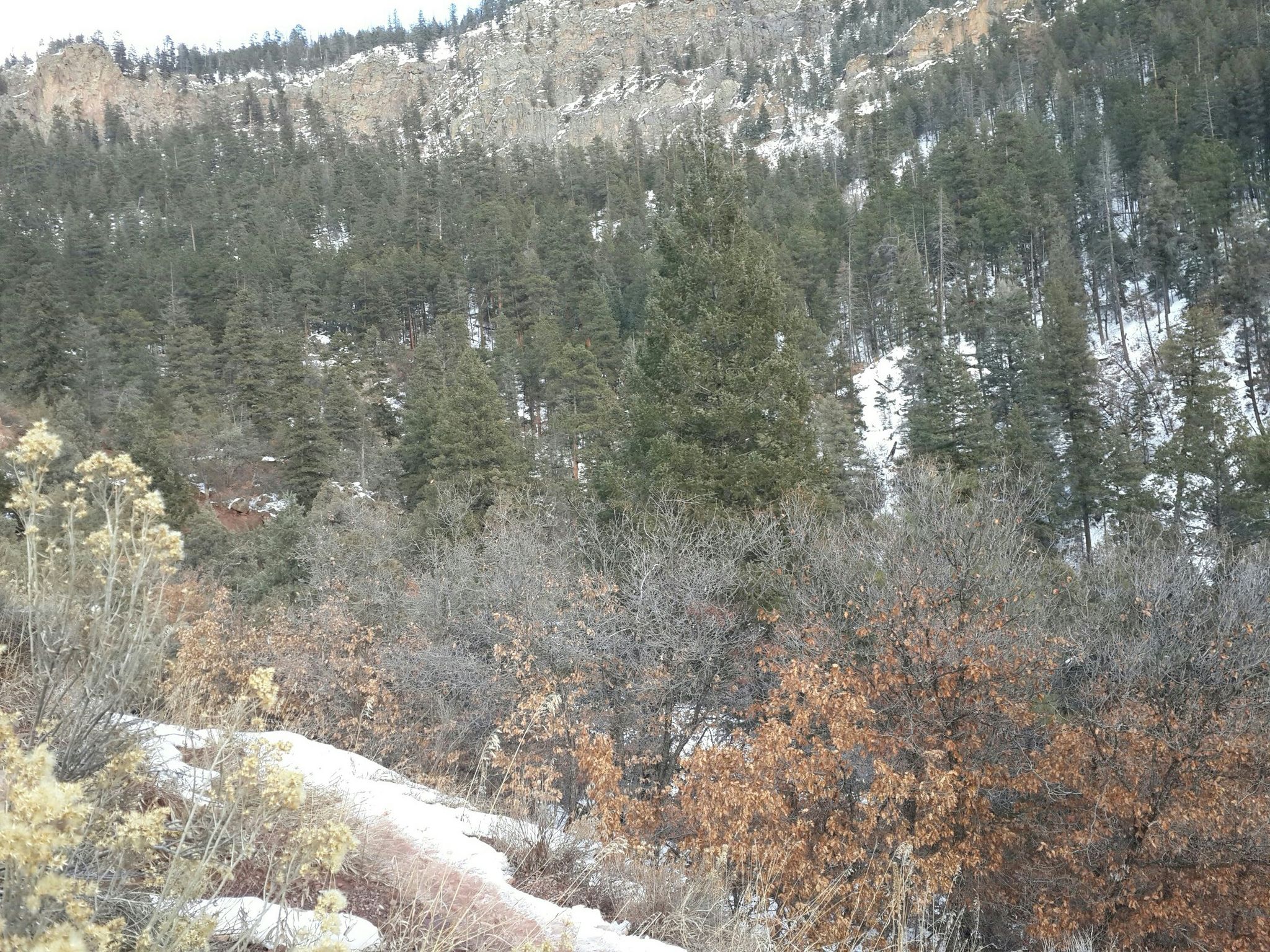 Jemez NM, Spence Hot Spring
