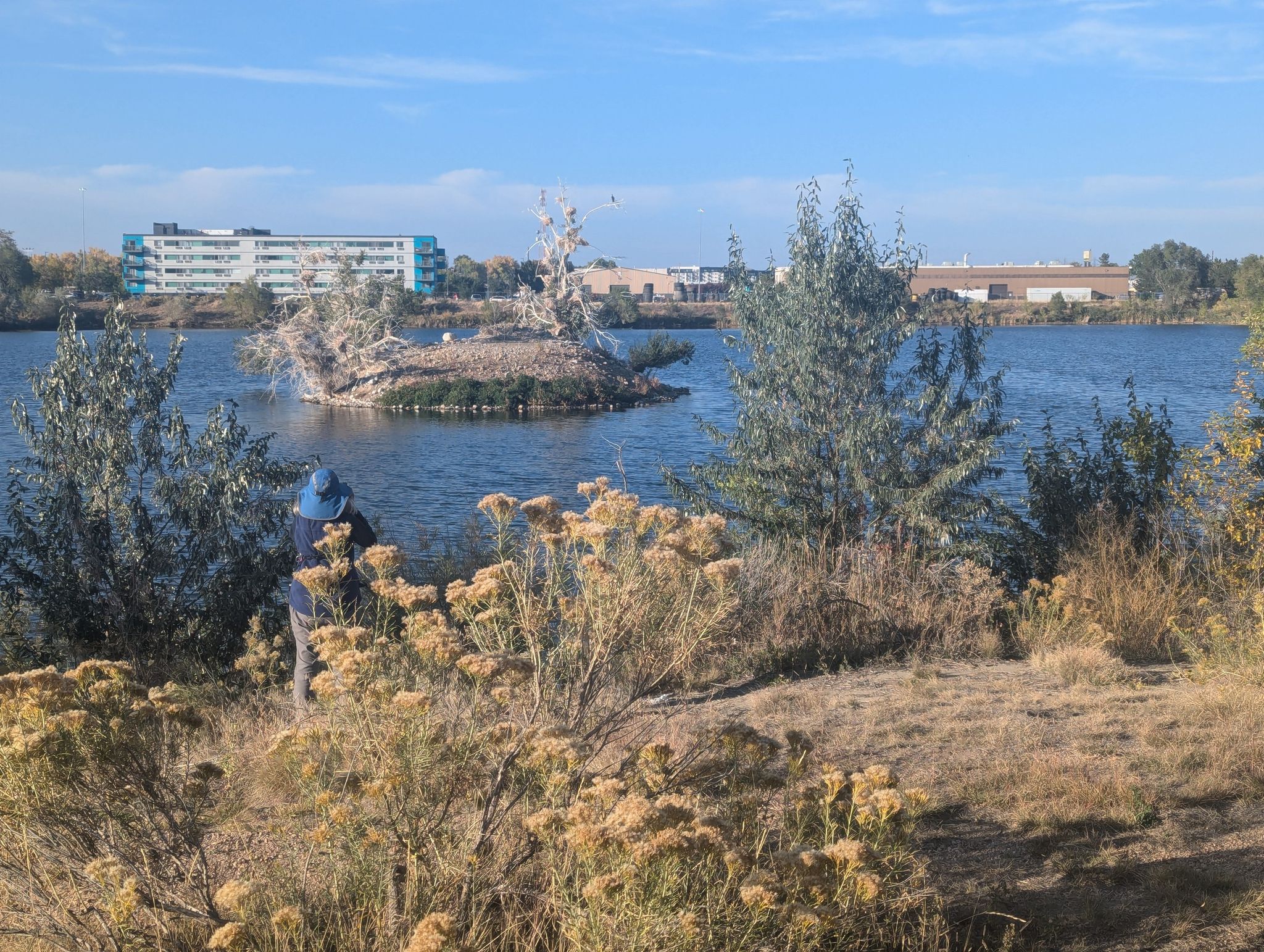 Person in blue hat by a lake with an island nest, buildings in background. - Clear Creek Trail Bridge – Clear Creek Trail loop from Lamar