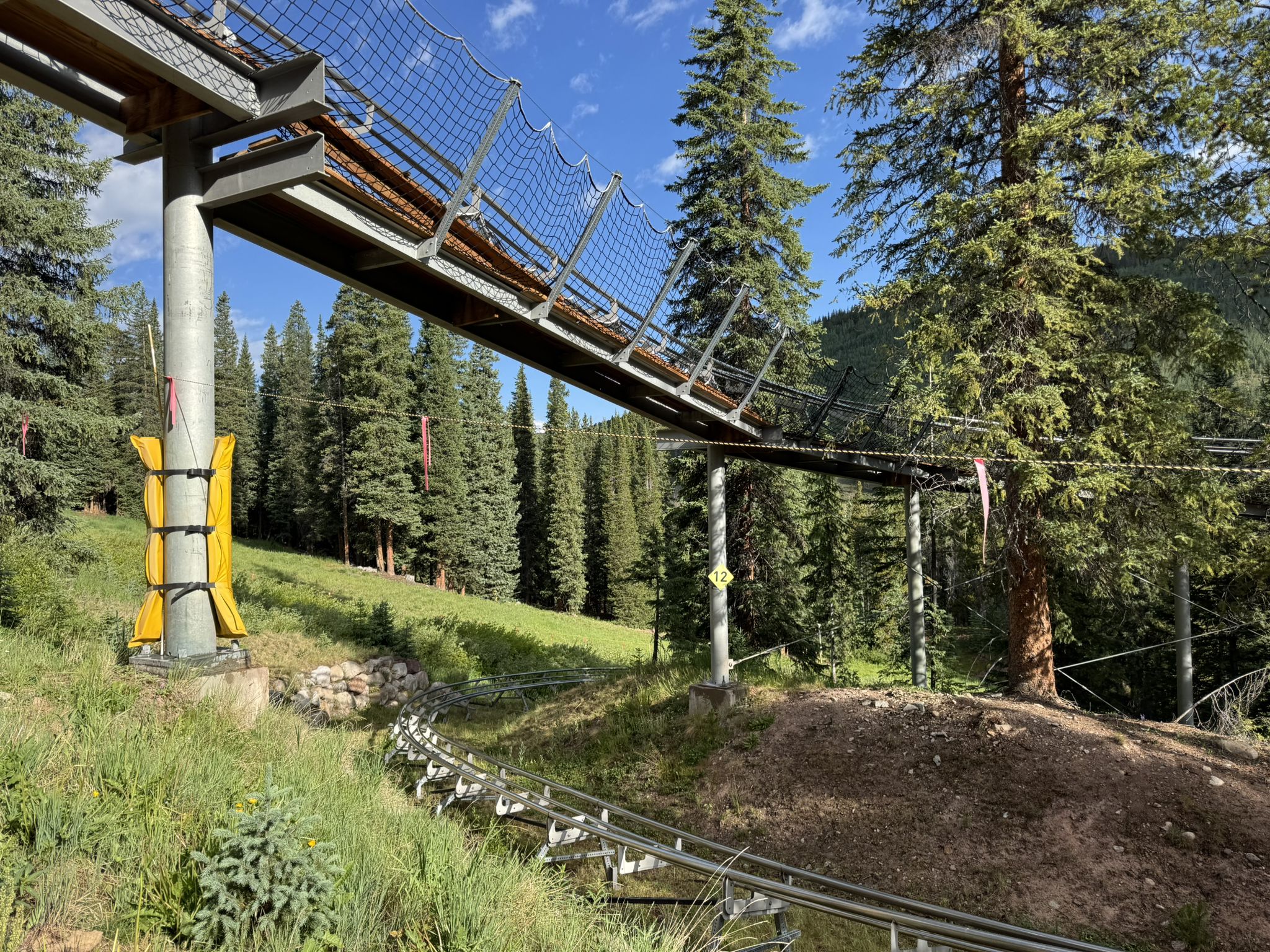 Elevated mountain coaster track and lower rails winding through a sunny pine forest. - Reliable stream – Jacque Creek loop from Passage Point