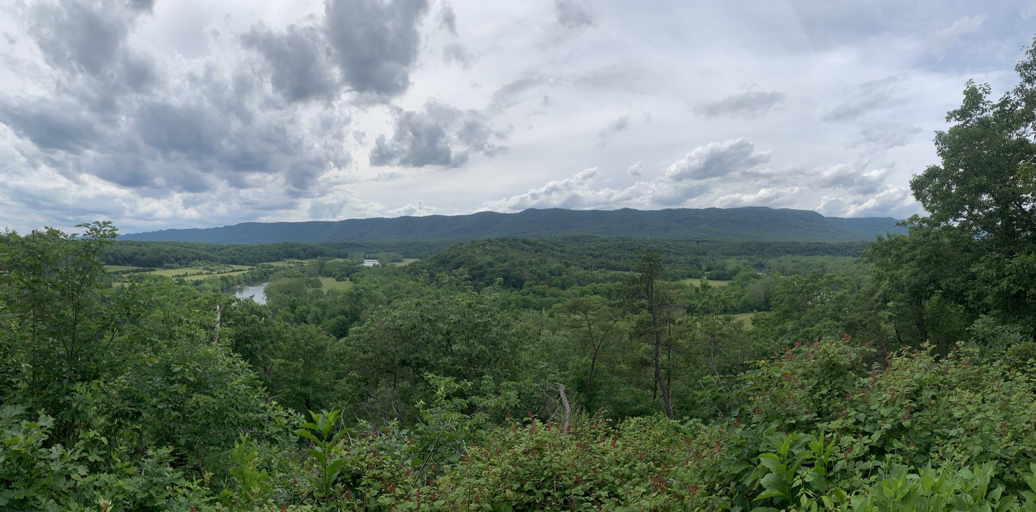 Panoramic view of a vast forested valley and distant mountains under cloudy skies. - Shenandoah River State Park – Allens Mountain loop from Raymond R. "Andy" Guest, Jr. Shenandoah River State Park