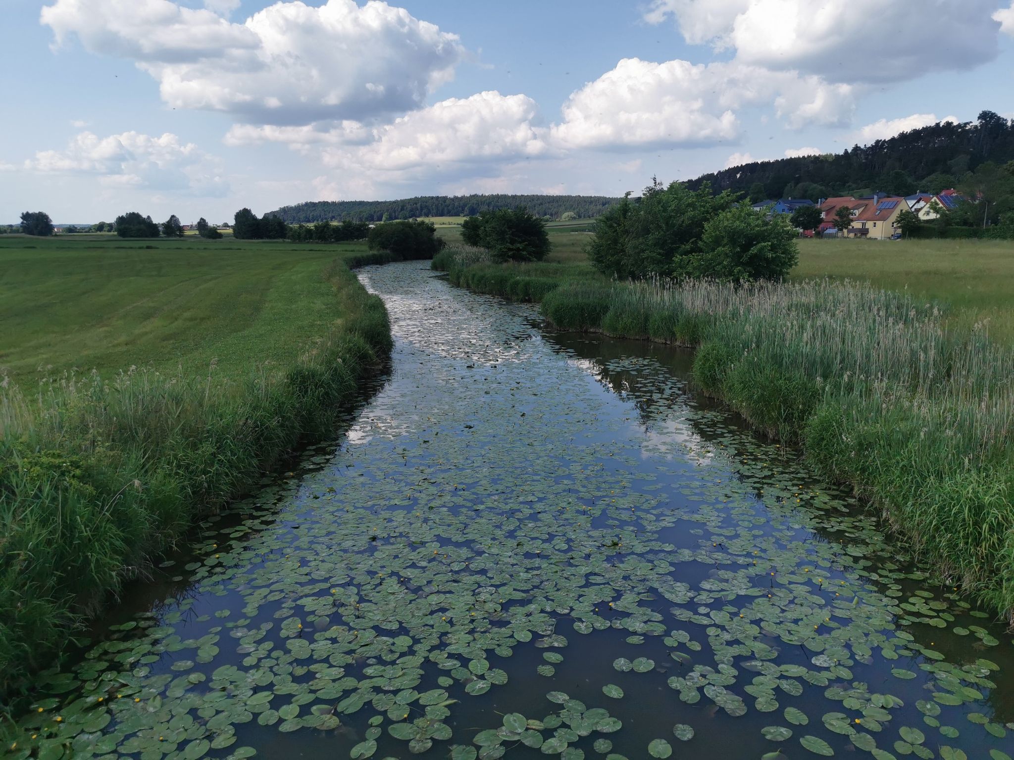 Die Wörnitz