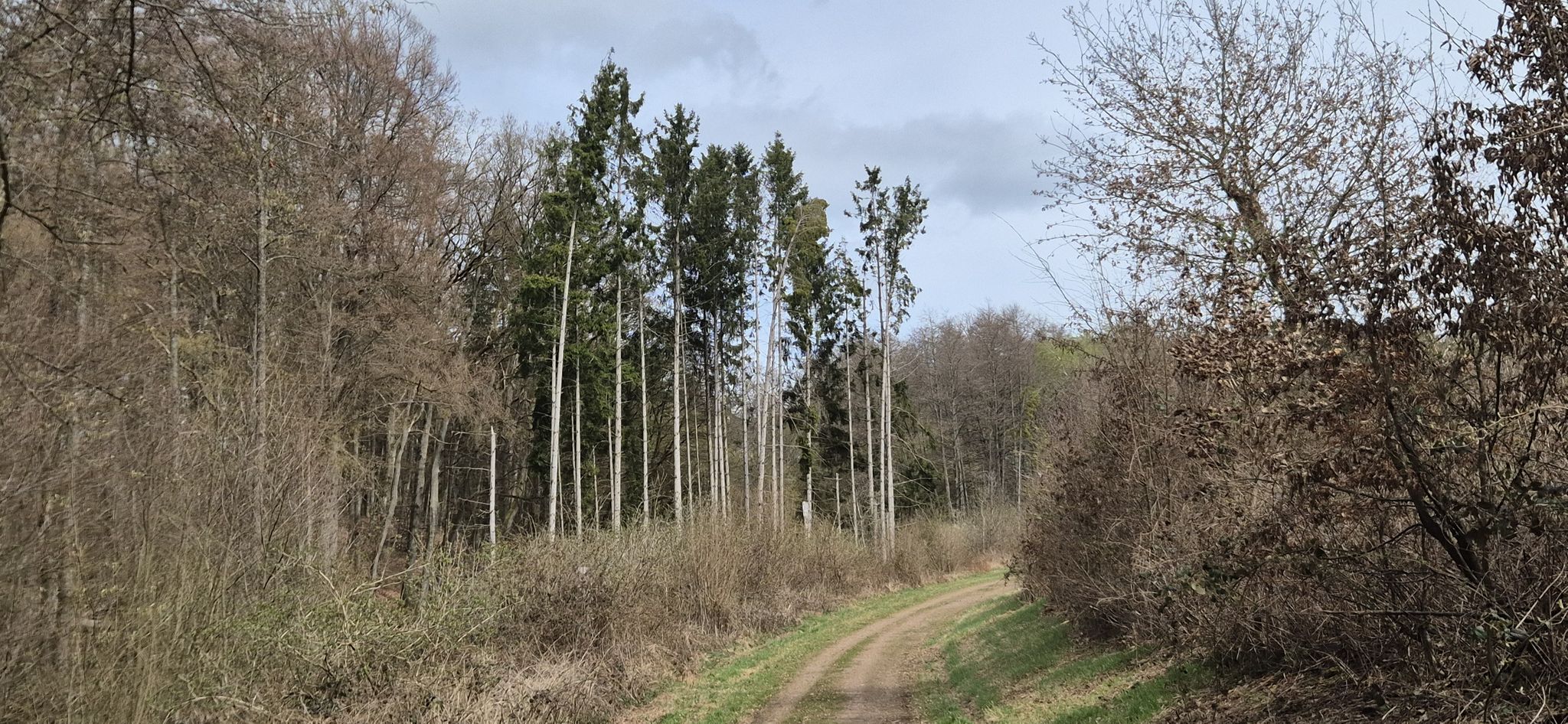 TS Oberes Baybachtal