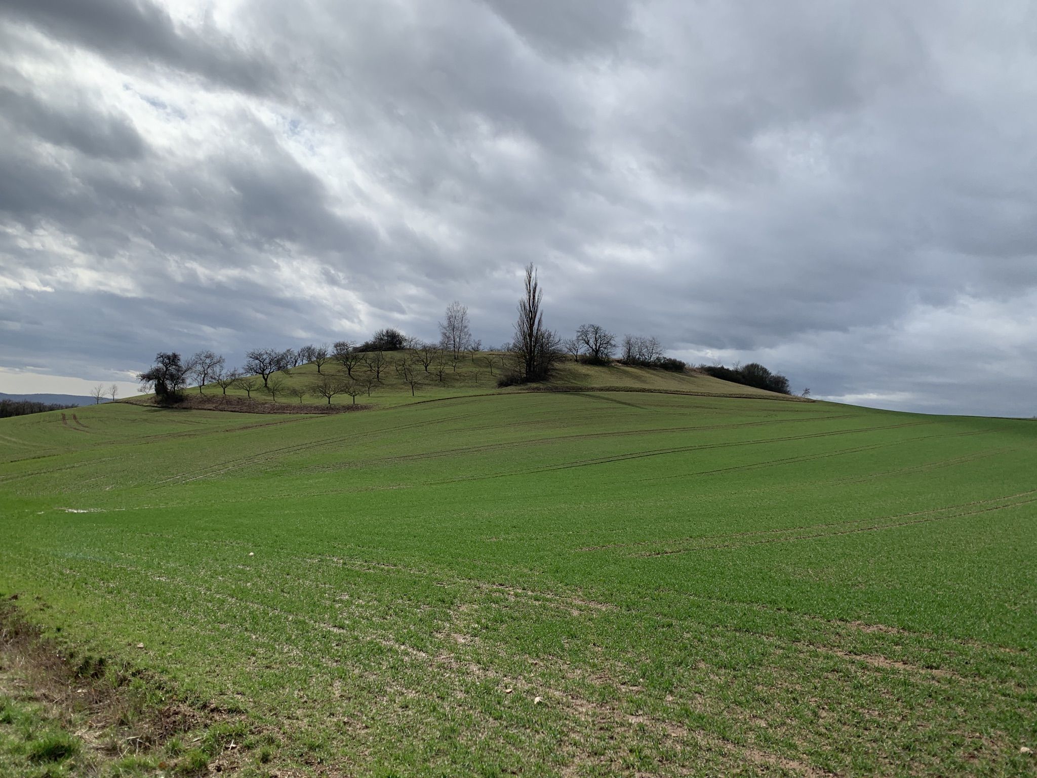 Aufstieg zum Rauchberg