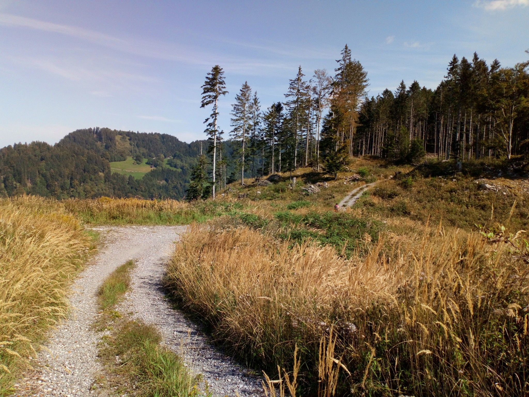 Hintergrund links Millrütte 