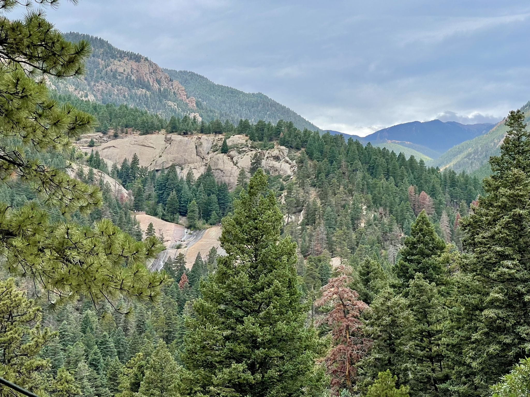 Dense evergreen forest covers rocky mountains under an overcast sky. - Columbine Trail