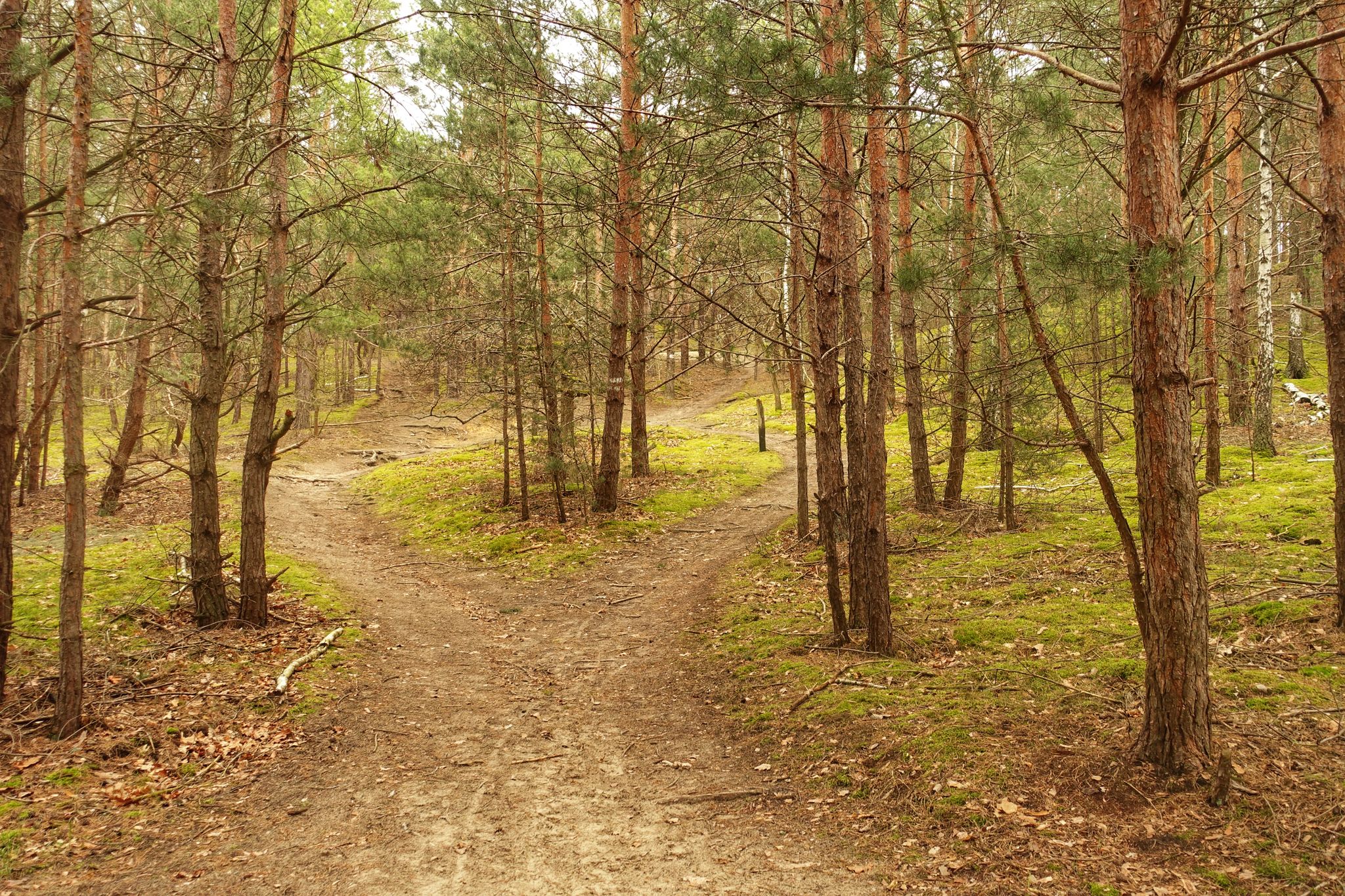 Links, rechts oder doch geradeaus? (1)