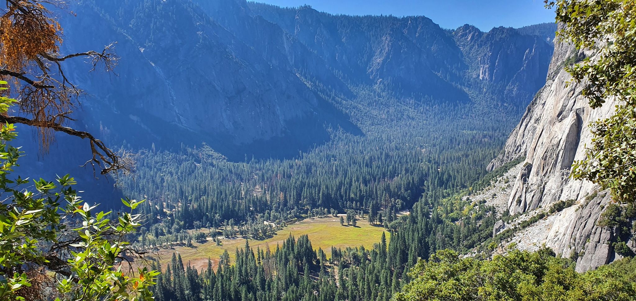A forested valley with a bright meadow, framed by steep mountains. - Columbia Rock Trail