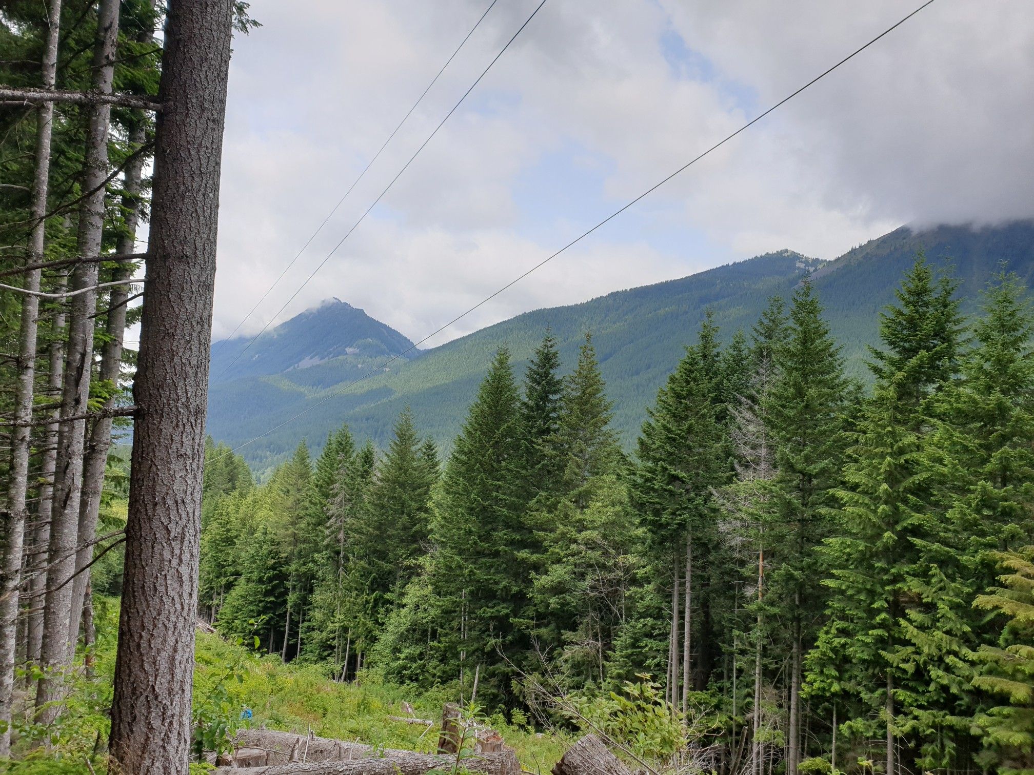 Forested mountains under cloudy sky with power lines overhead. - Snoqualmie Tunnel – Annette Lake loop from Hyak
