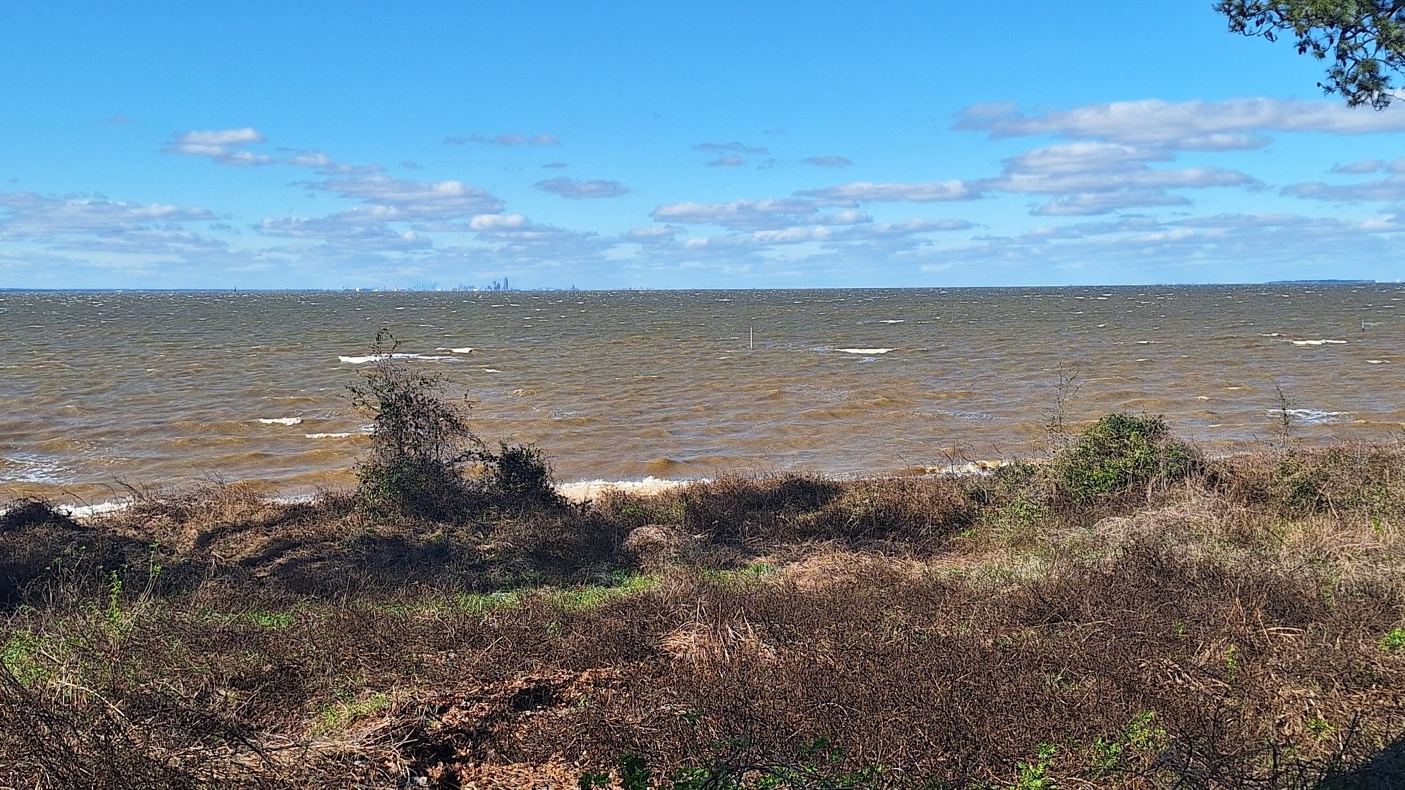 Choppy brown water under a bright sky, with a bushy shoreline. - Page & Palette Coffee Stop loop from Fairhope