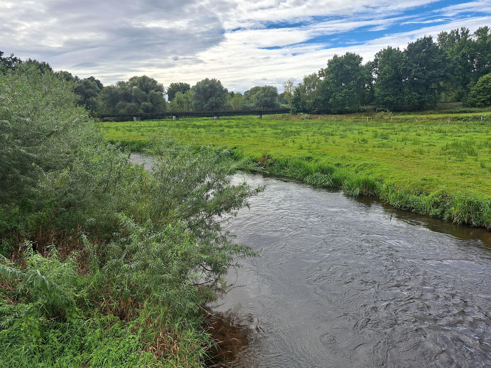 Örtze in Eversen