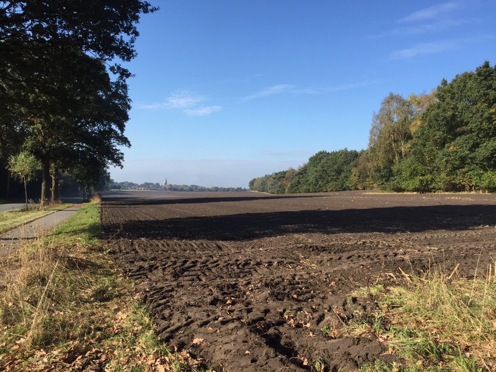 Blick auf Grafeld