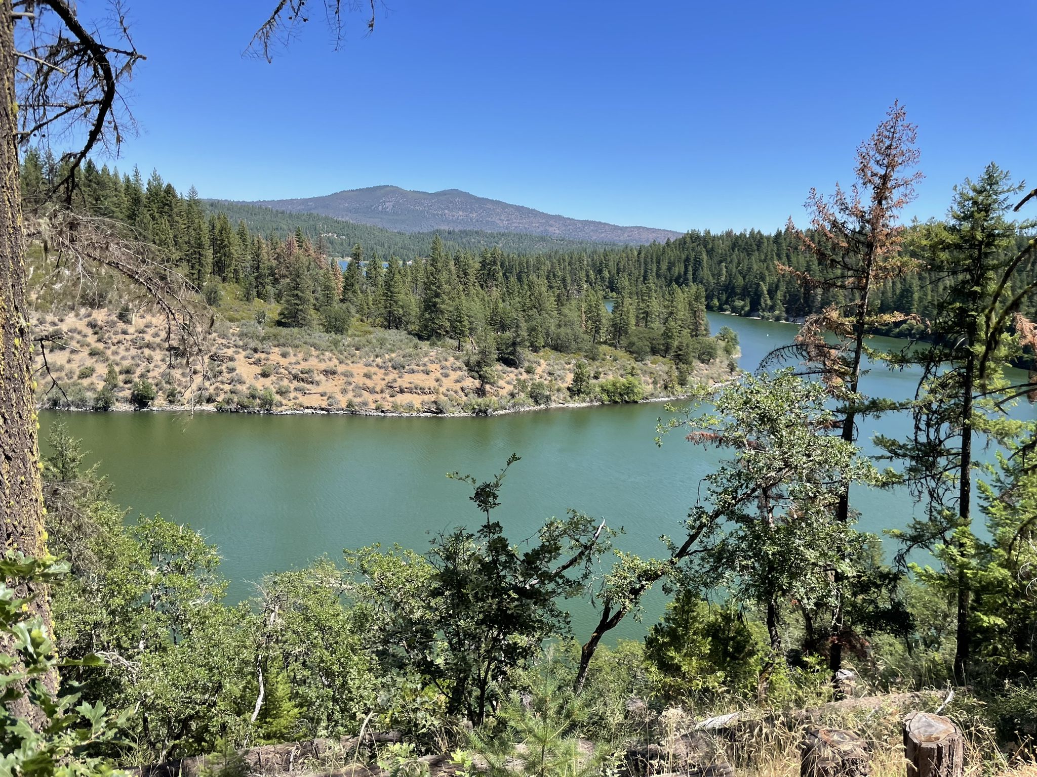 Calm green water surrounded by dense forests under a clear blue sky. - Pacific Crest Trail: California Section O