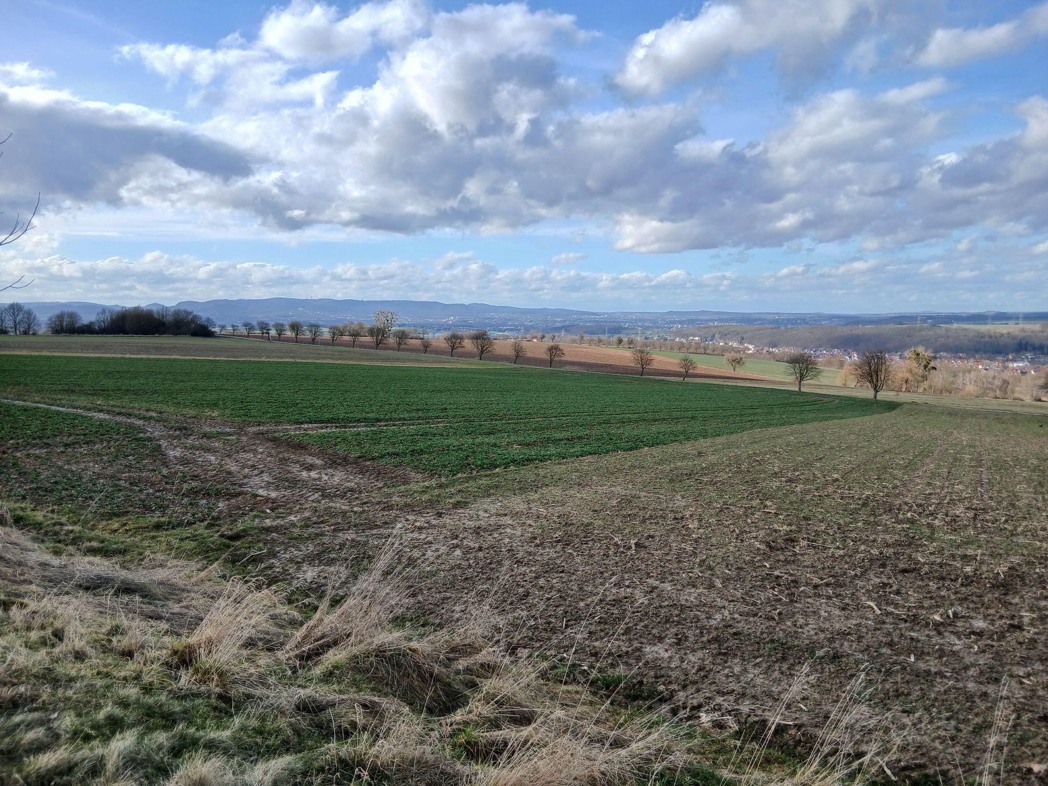 Kasselblick
