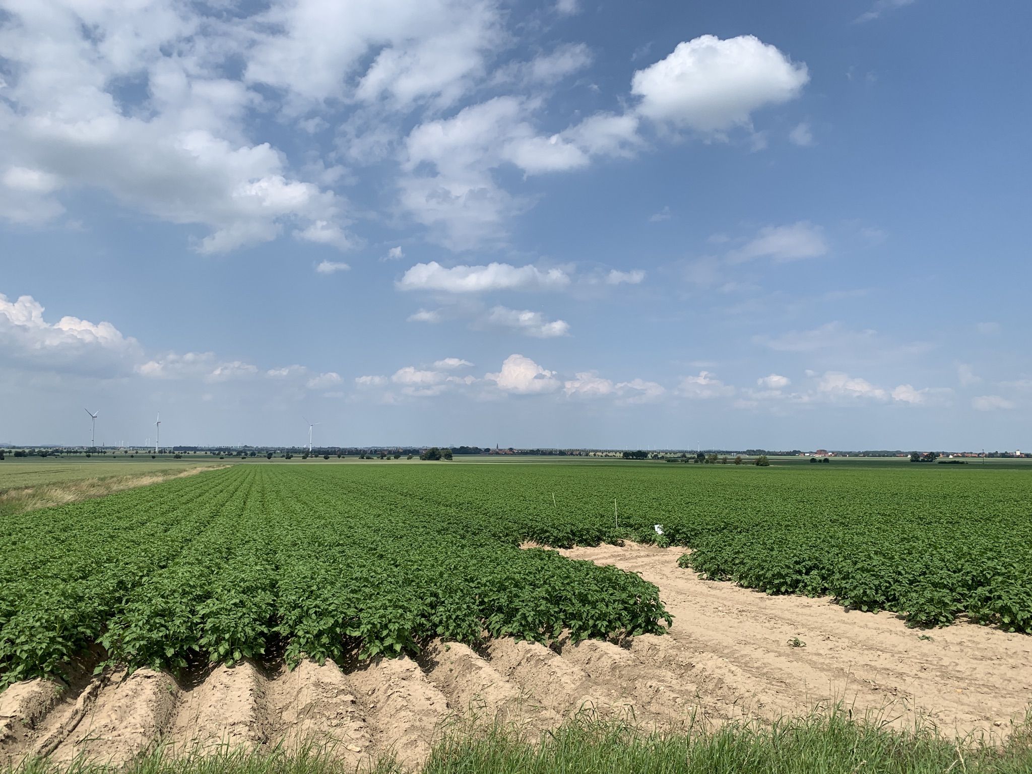 Weiter Ausblick nach Norden