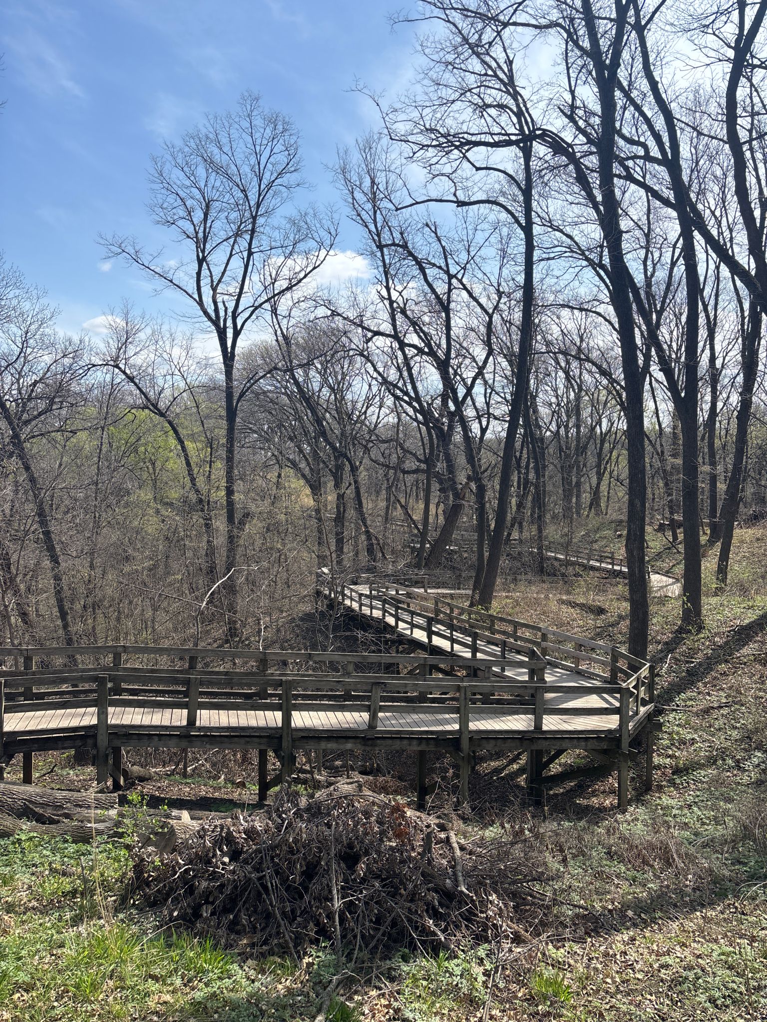 Winding wooden boardwalks and stairs ascend through a forest of bare trees. - Ridge Trail