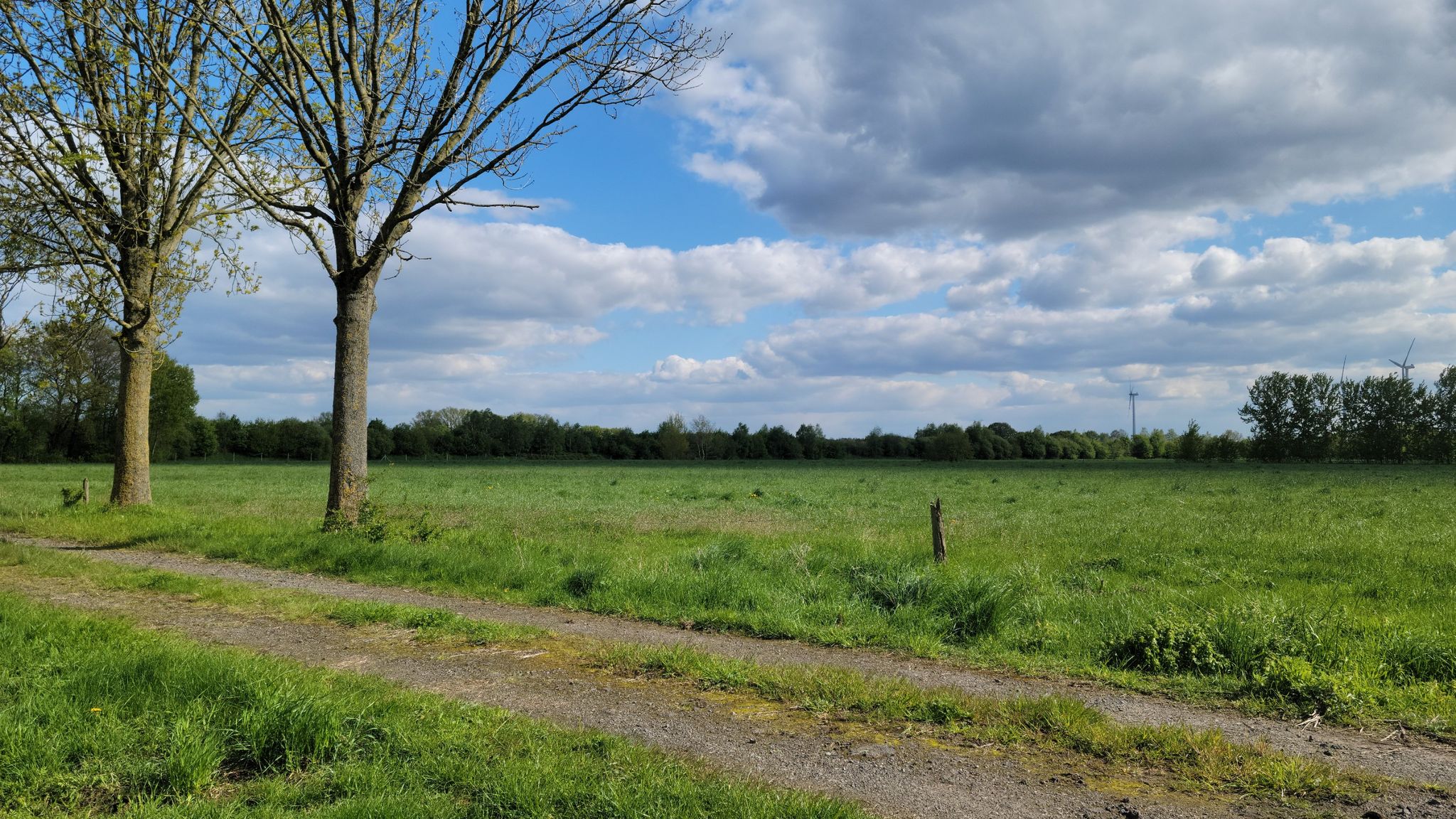 Gegend bei Nienhorst