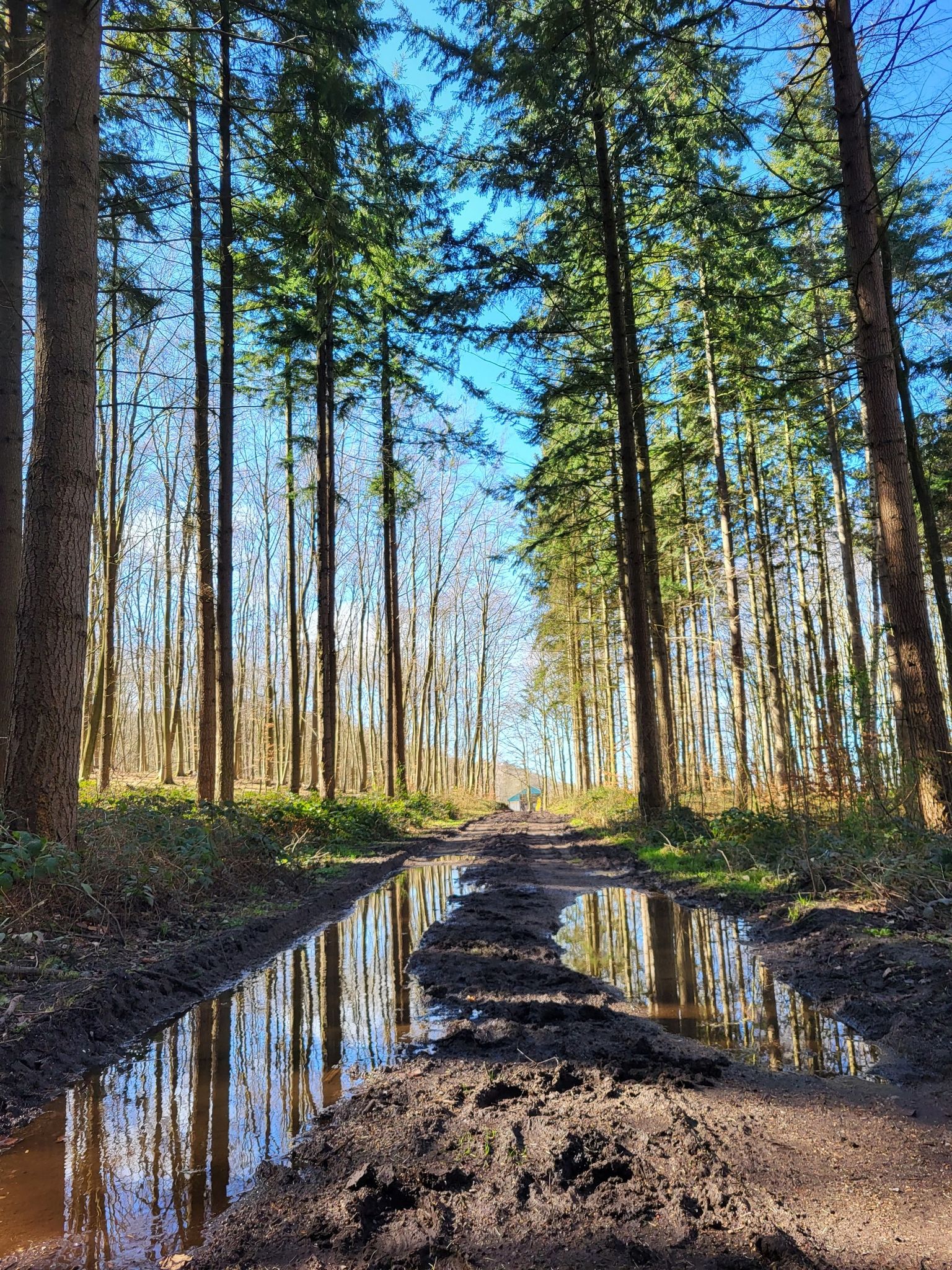 abwechslungsreiche Wanderwege😅