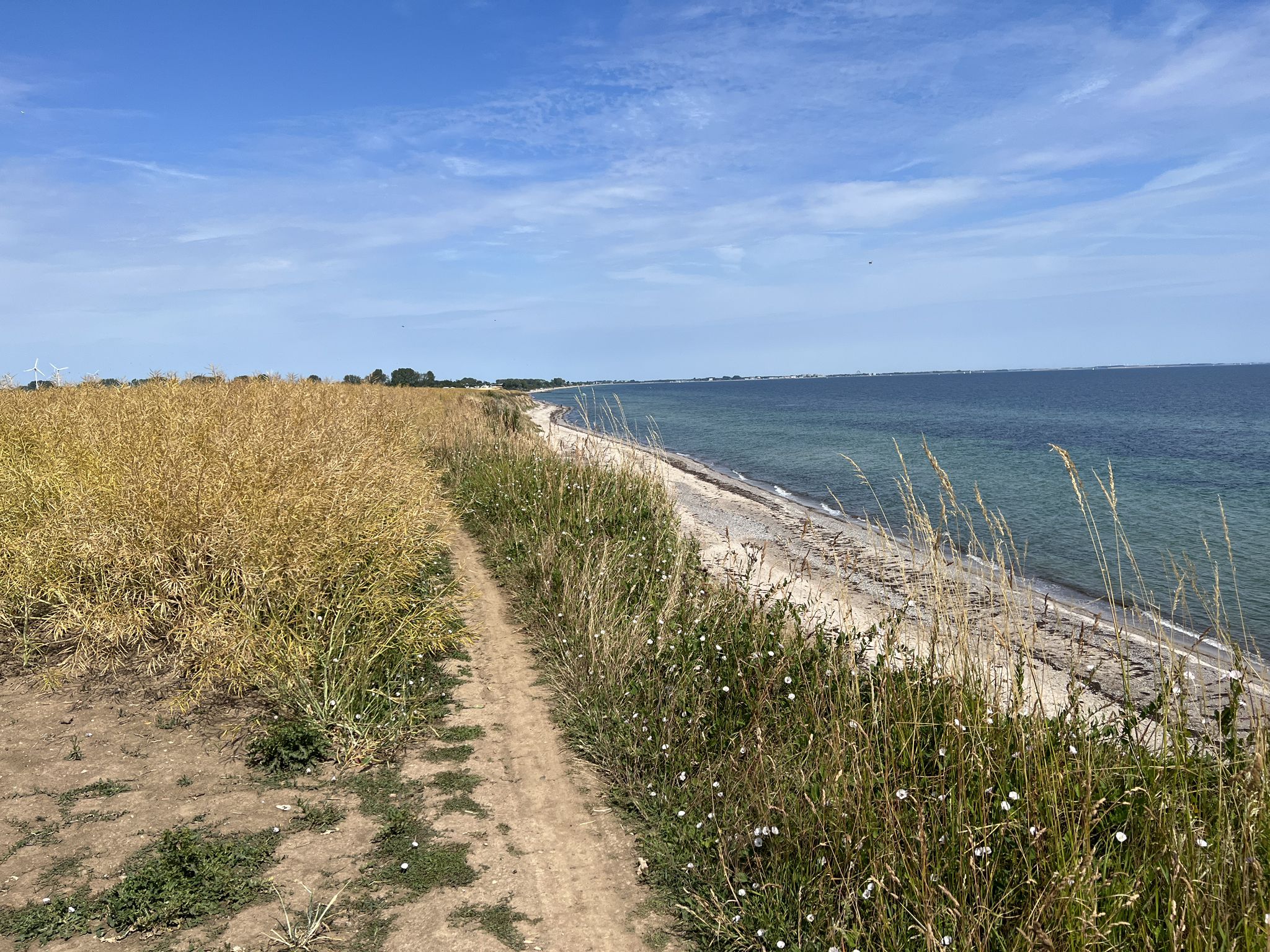 Singletrail an der Steilküste (Süssau Strand - Kraksdorf Strand)