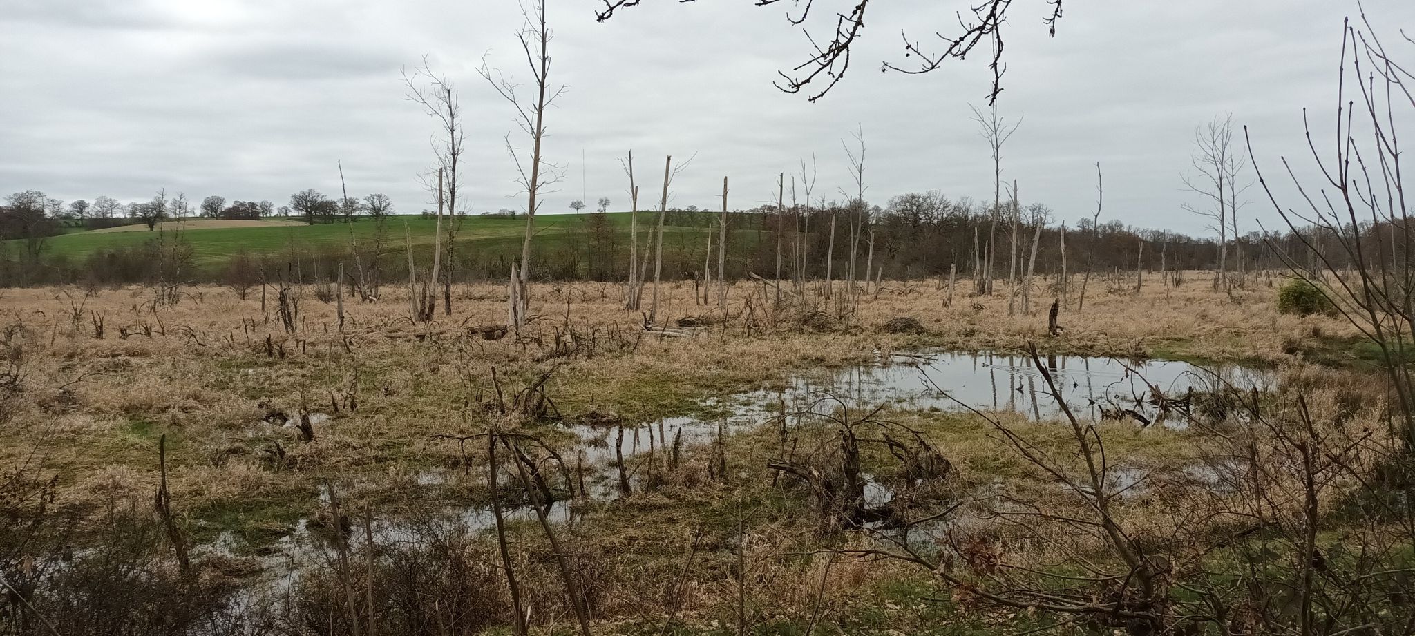 Bizar landschap....