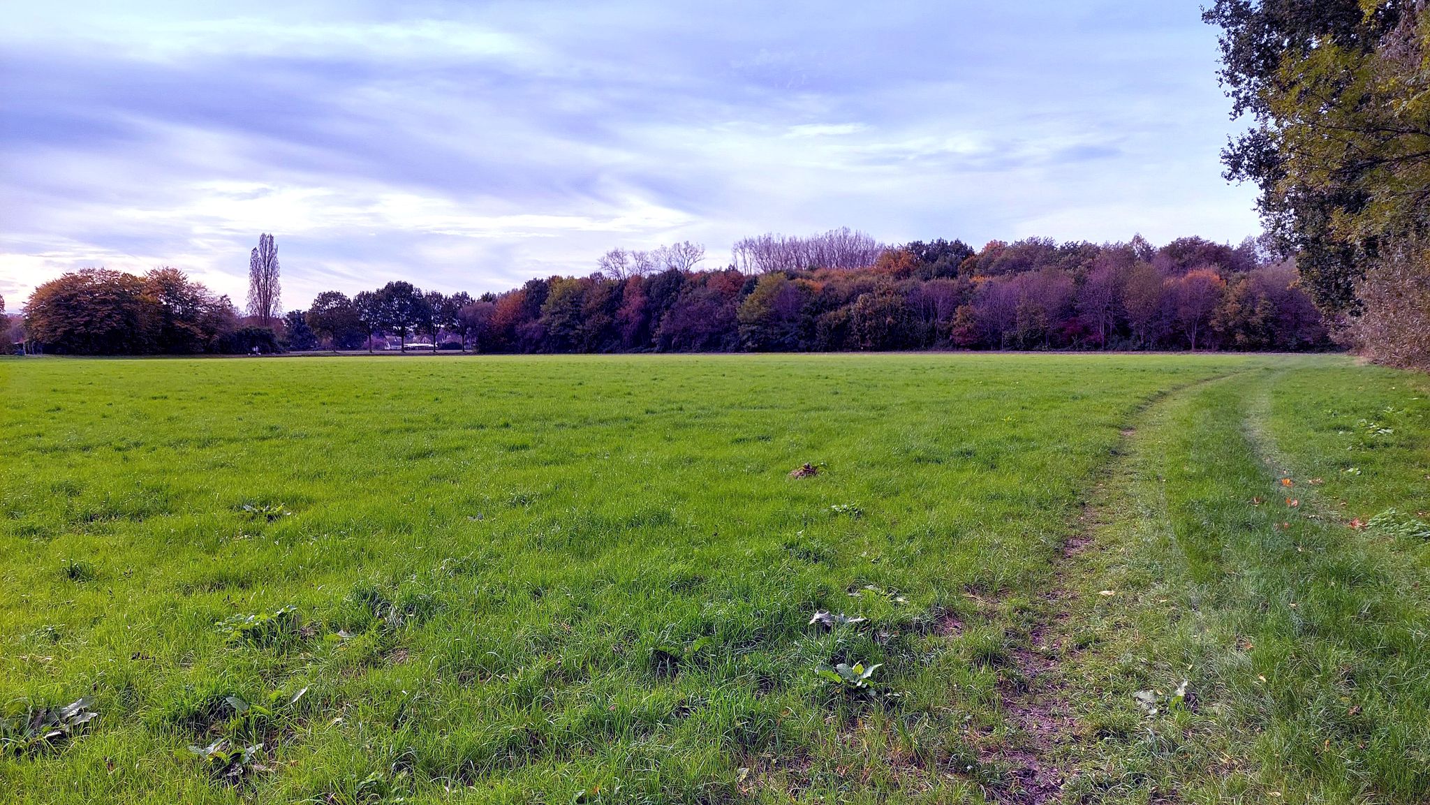 Jetzt geht es erst einmal über die Wiese auf den Hochzeitswald zu.