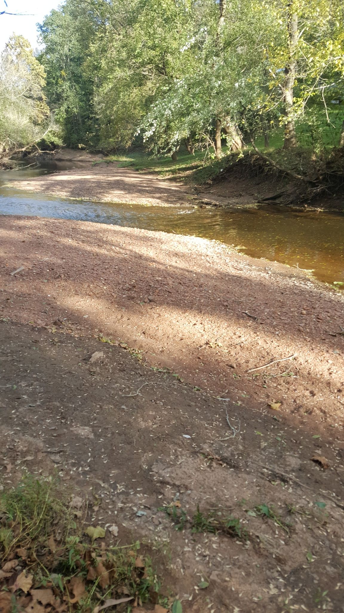 A shallow stream flows beside a wide, sunlit sandy bank in a forest. - Bluebell and Bull Run Loop
