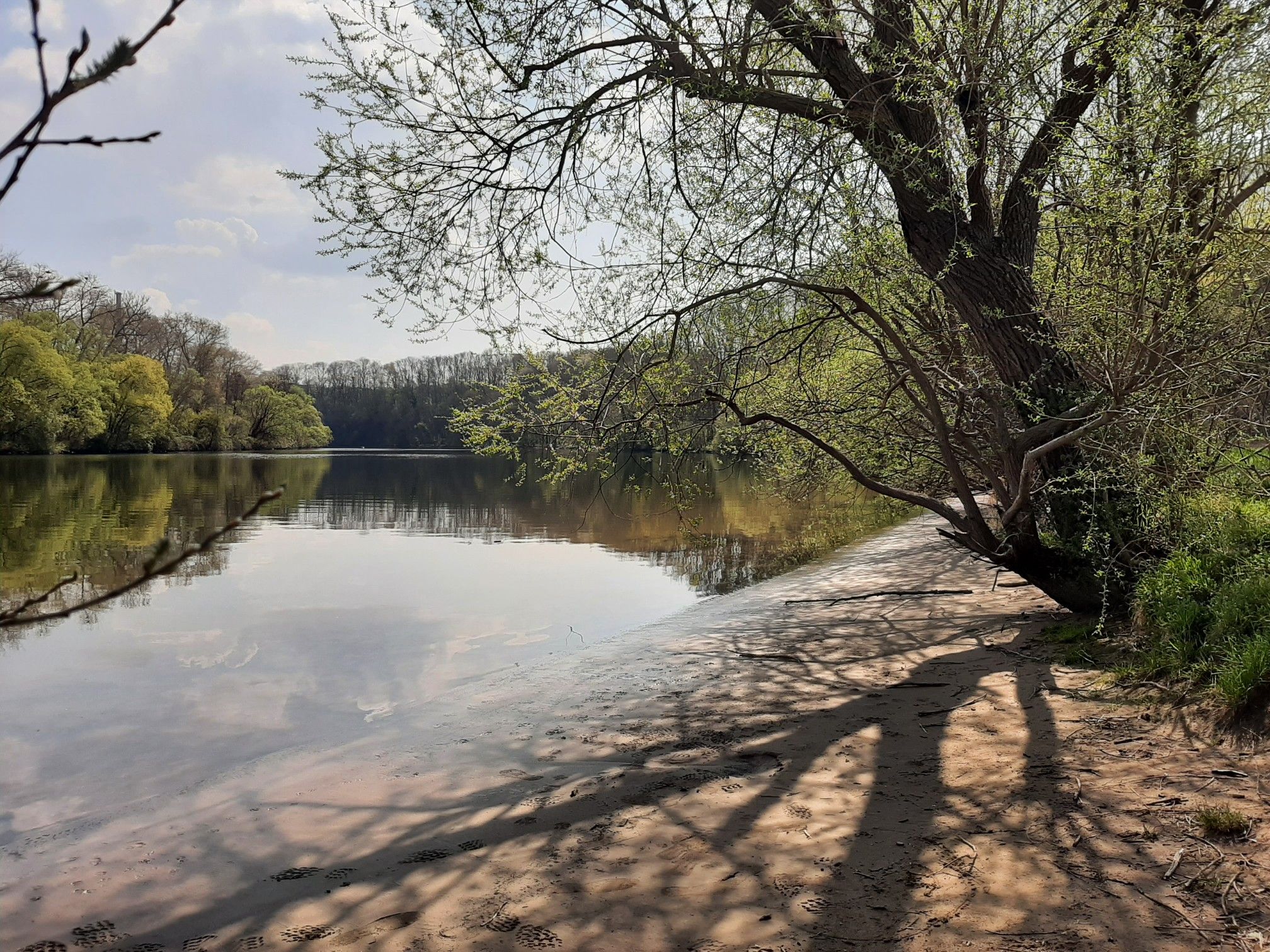 Karibikfeeling am Neckar...