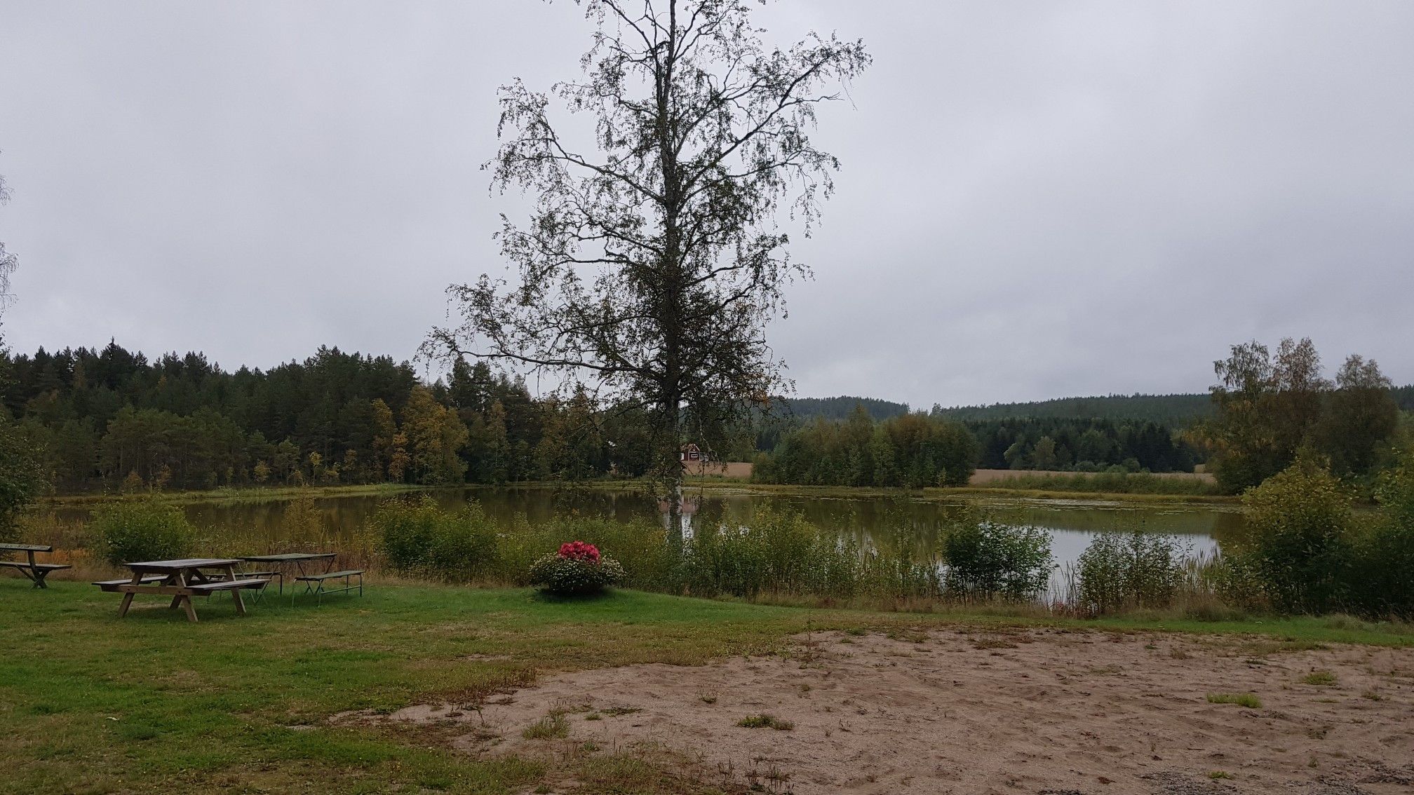 Der Weiher lädt zur Rast ein