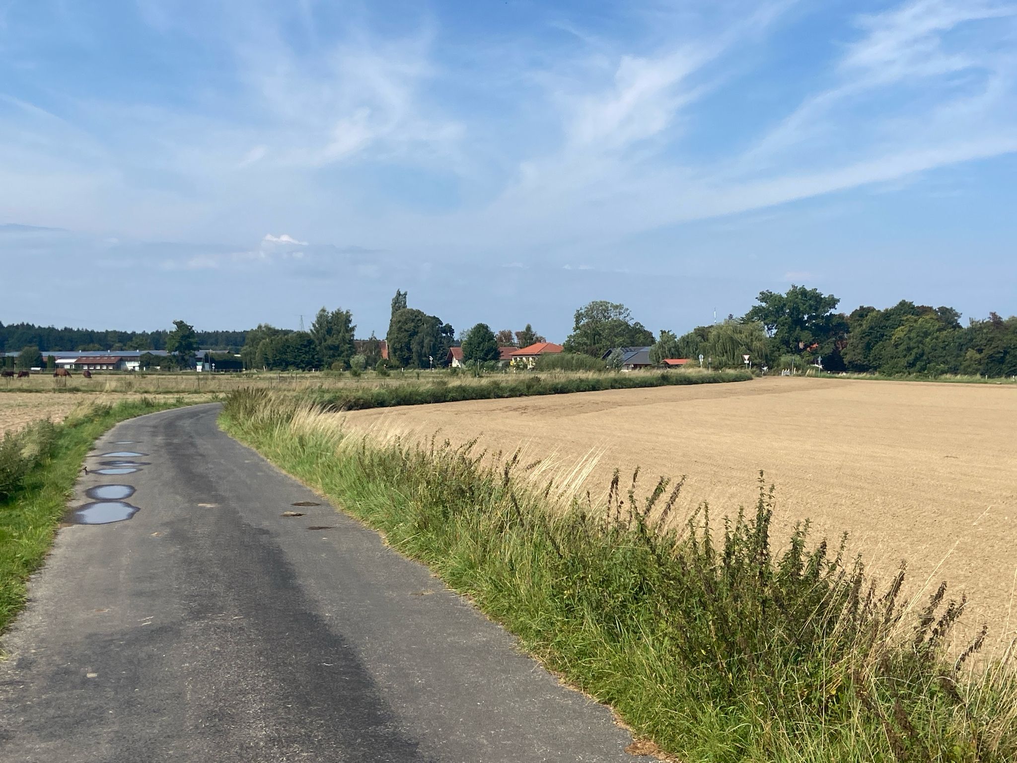 Blick auf Hausen