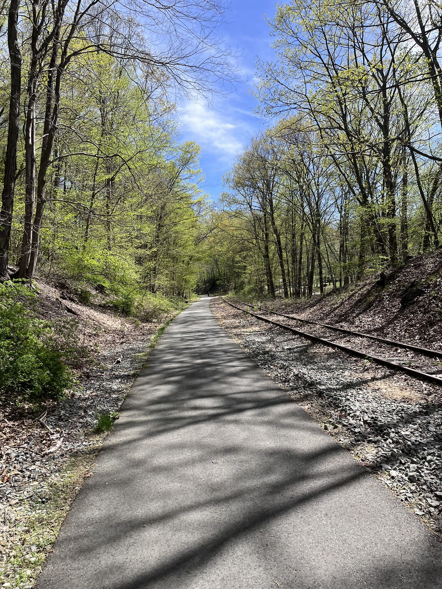 Paved path and railroad tracks wind through a sunny forest with spring foliage. - Whaley Lake – Whaley Lake loop from Beacon Line