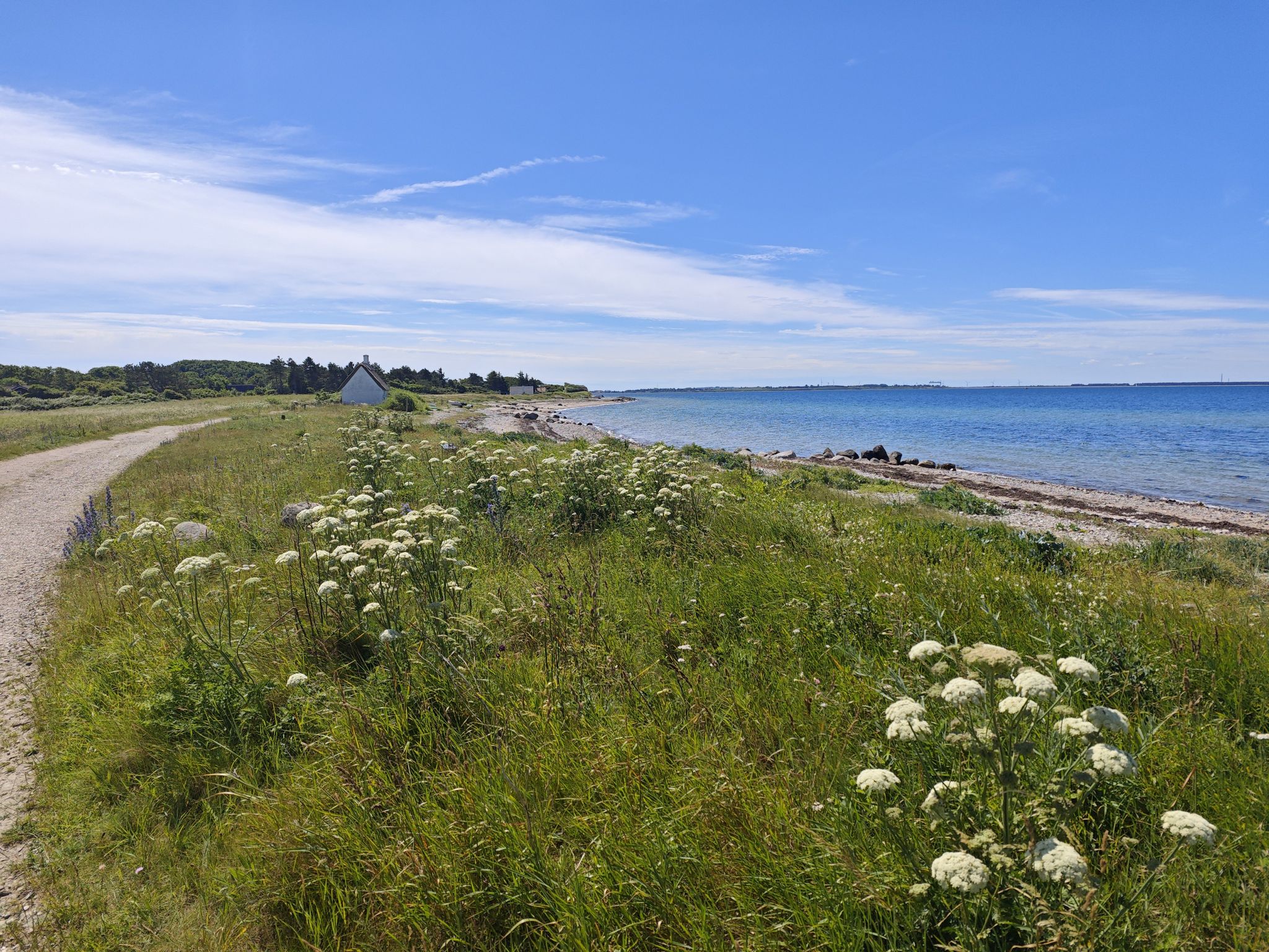 Langø 